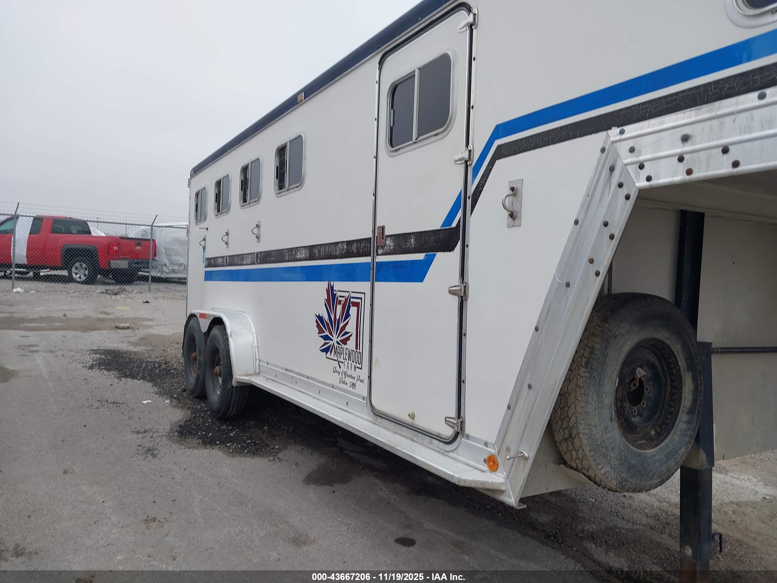 FEATHERLITE HORSE image 10