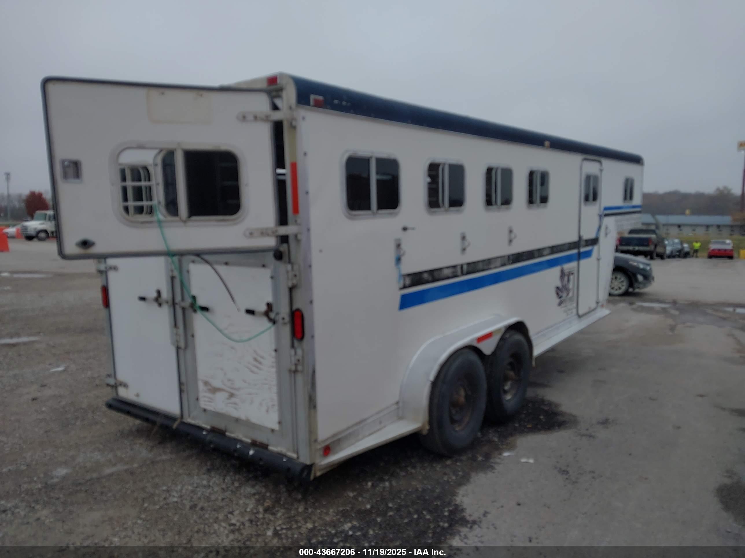 FEATHERLITE HORSE image 4