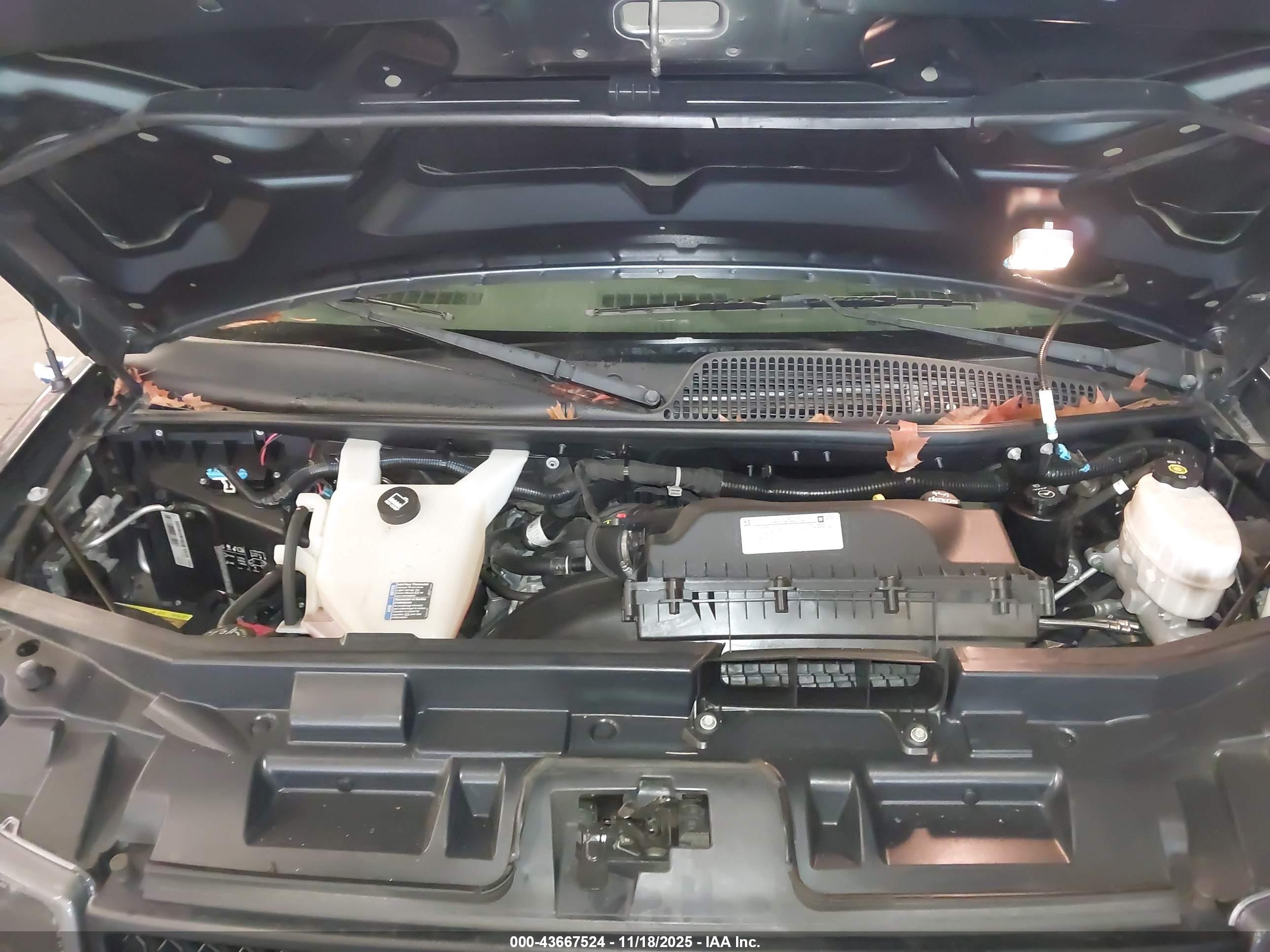 CHEVROLET EXPRESS image 10