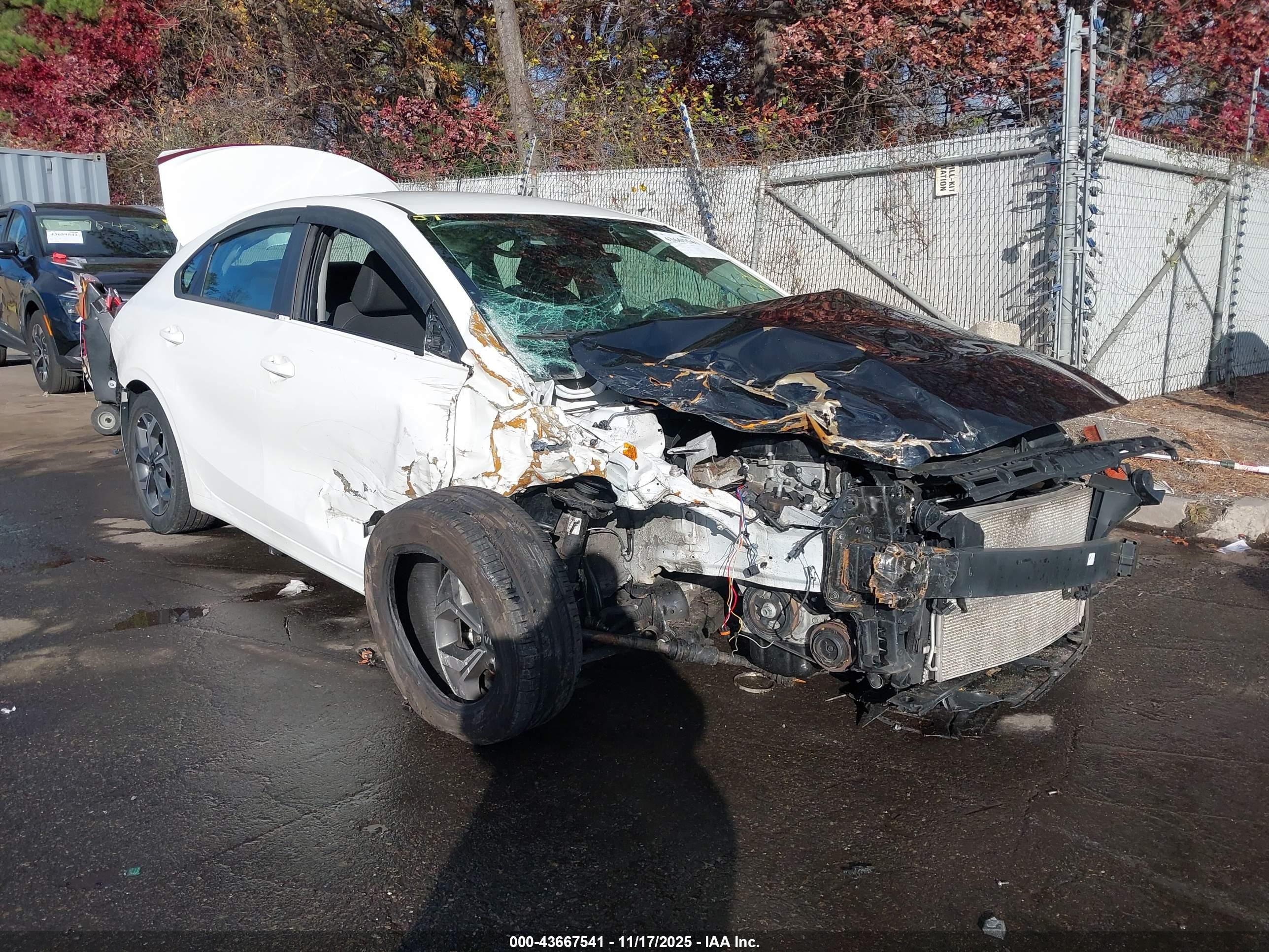 KIA FORTE image 6