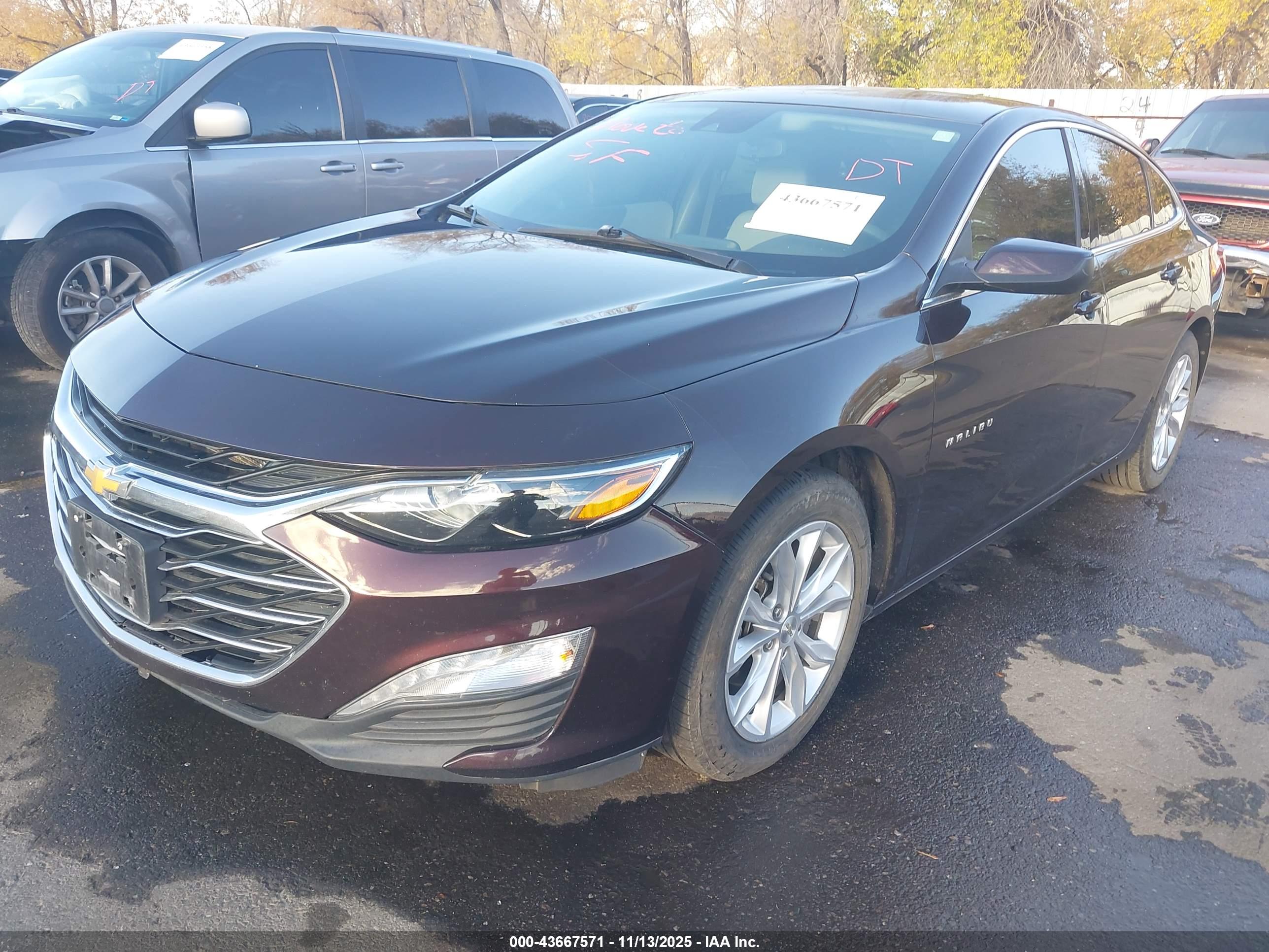 CHEVROLET MALIBU image 2