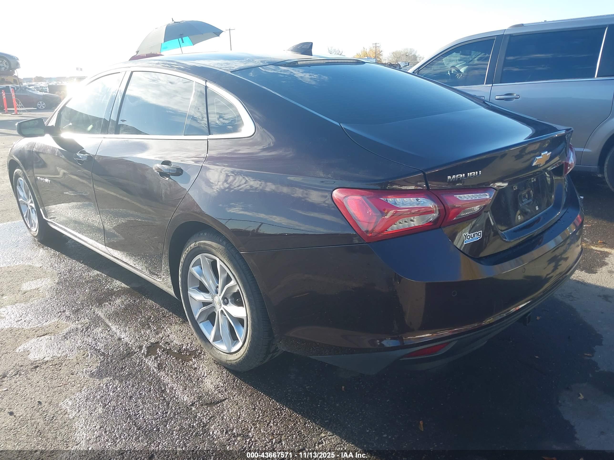 CHEVROLET MALIBU image 3