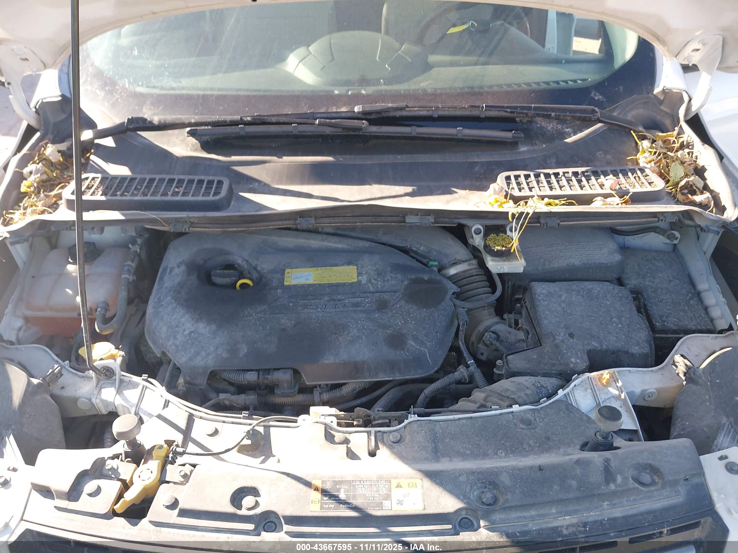 FORD ESCAPE image 10