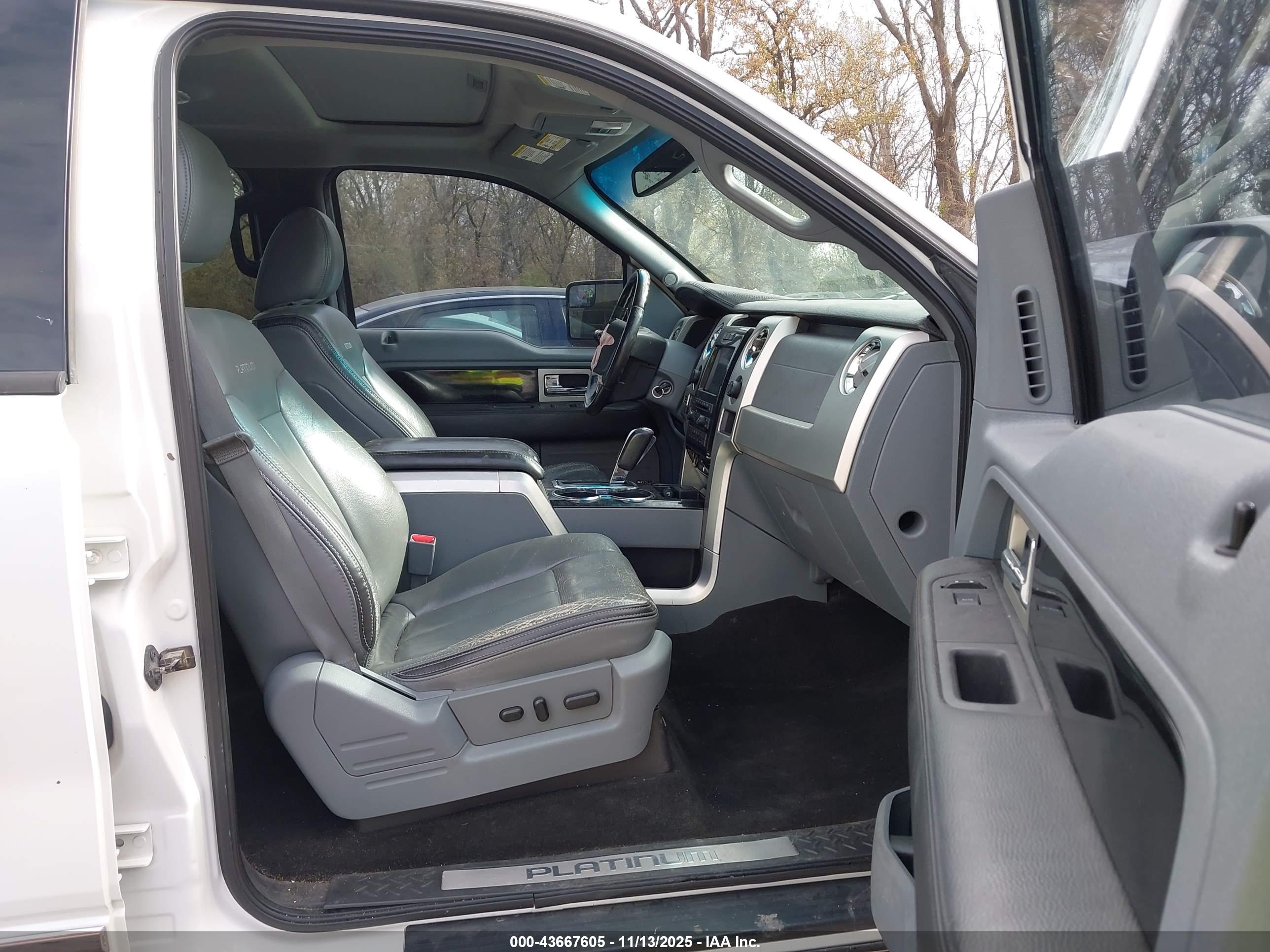 FORD F-150 image 5