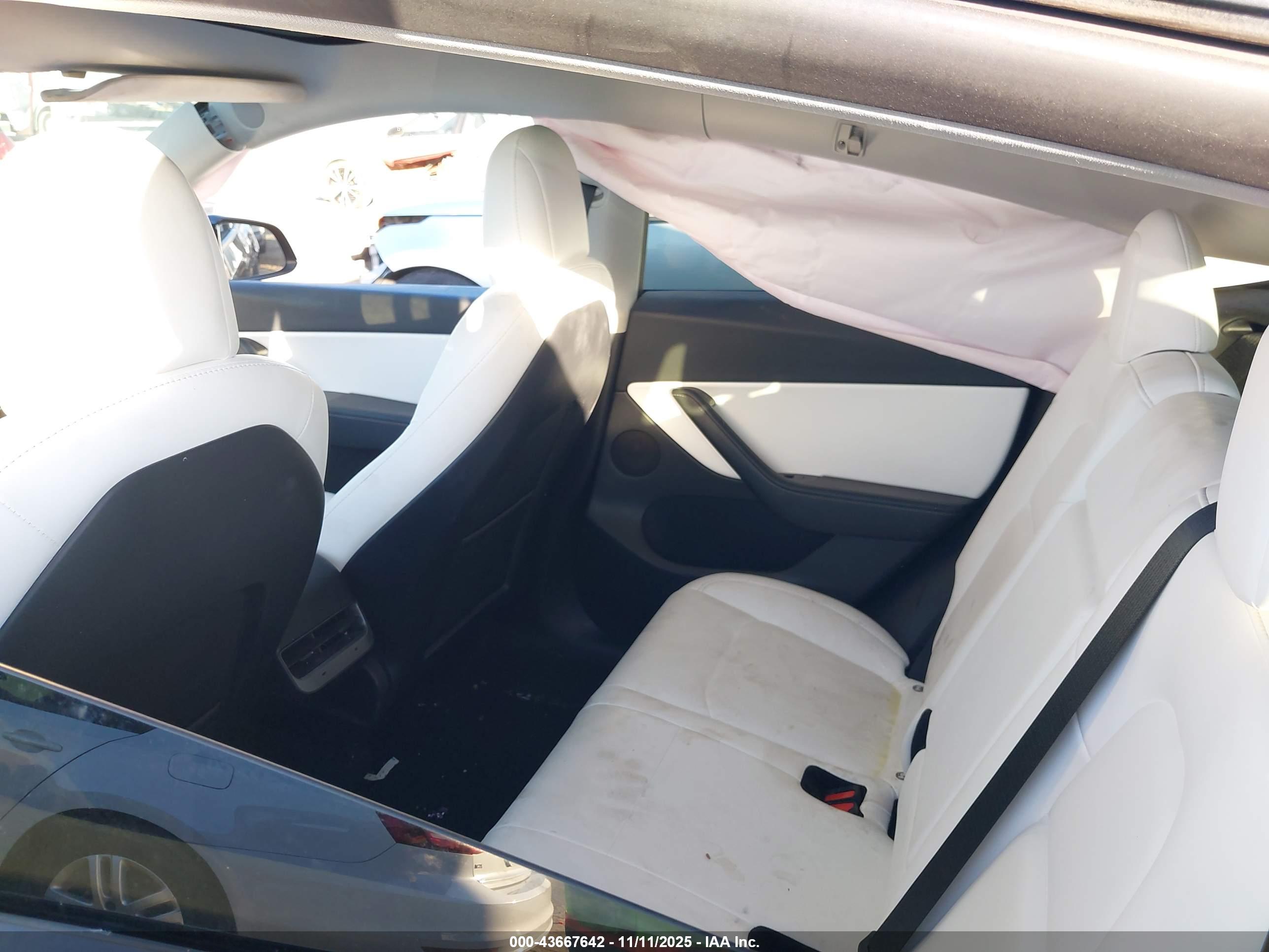 TESLA MODEL image 8