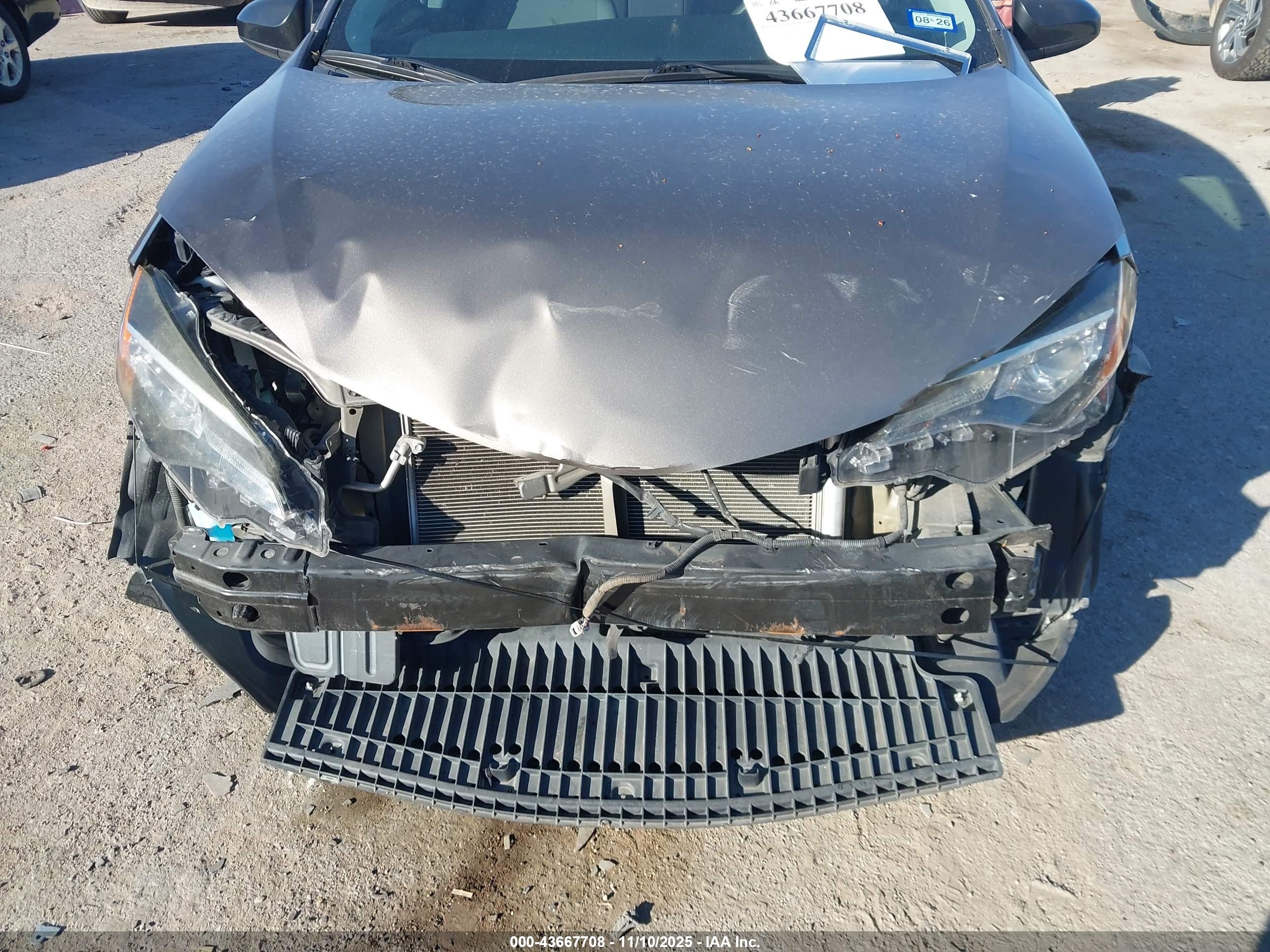 TOYOTA COROLLA image 6