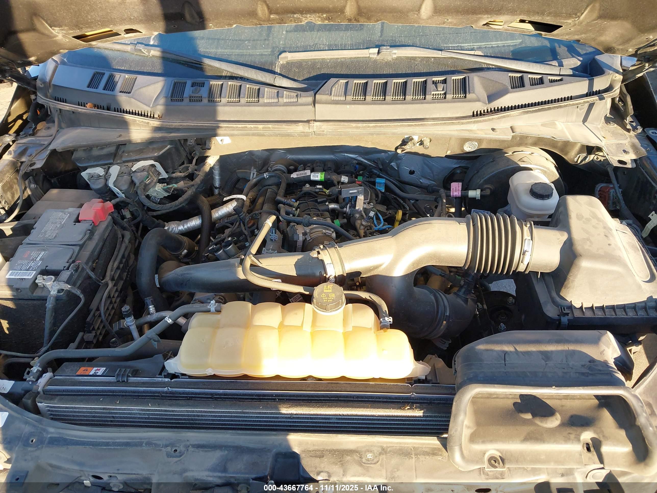 FORD F-150 image 10