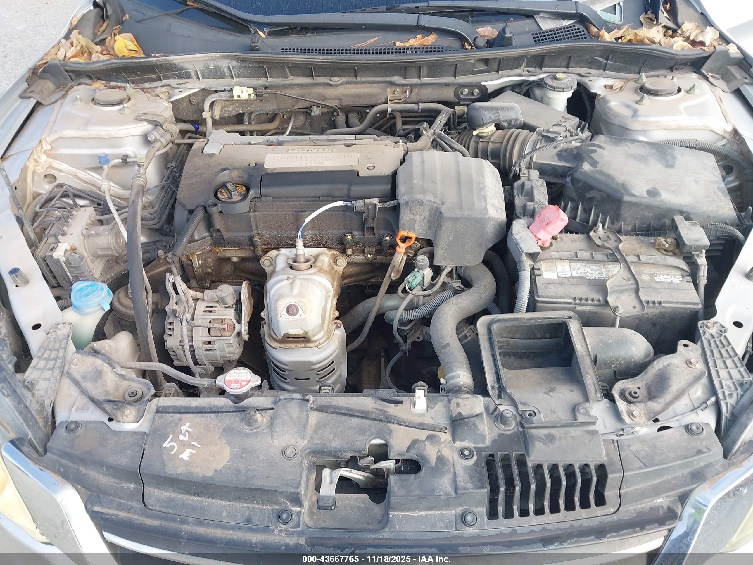 HONDA ACCORD image 10