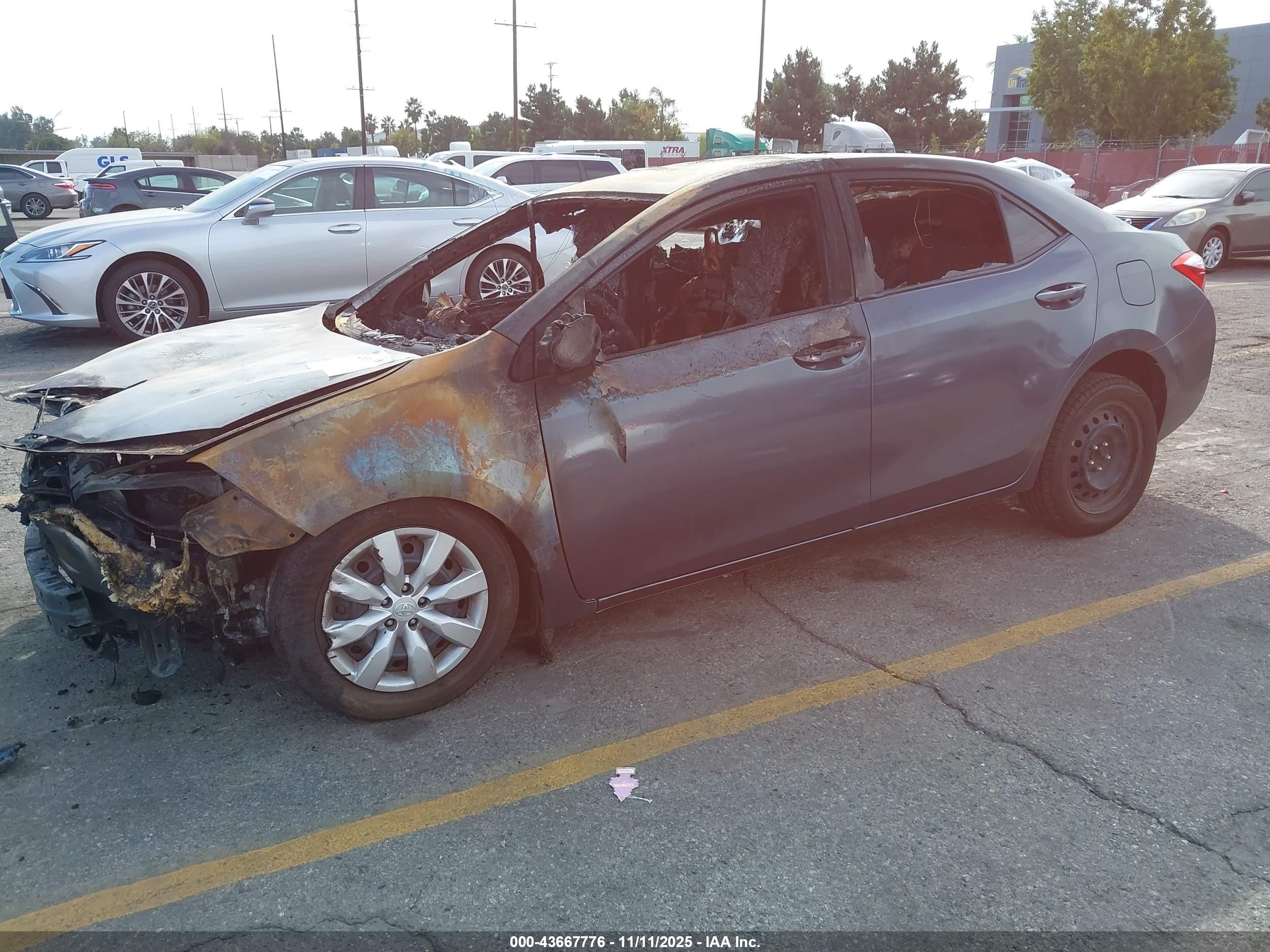 TOYOTA COROLLA image 2