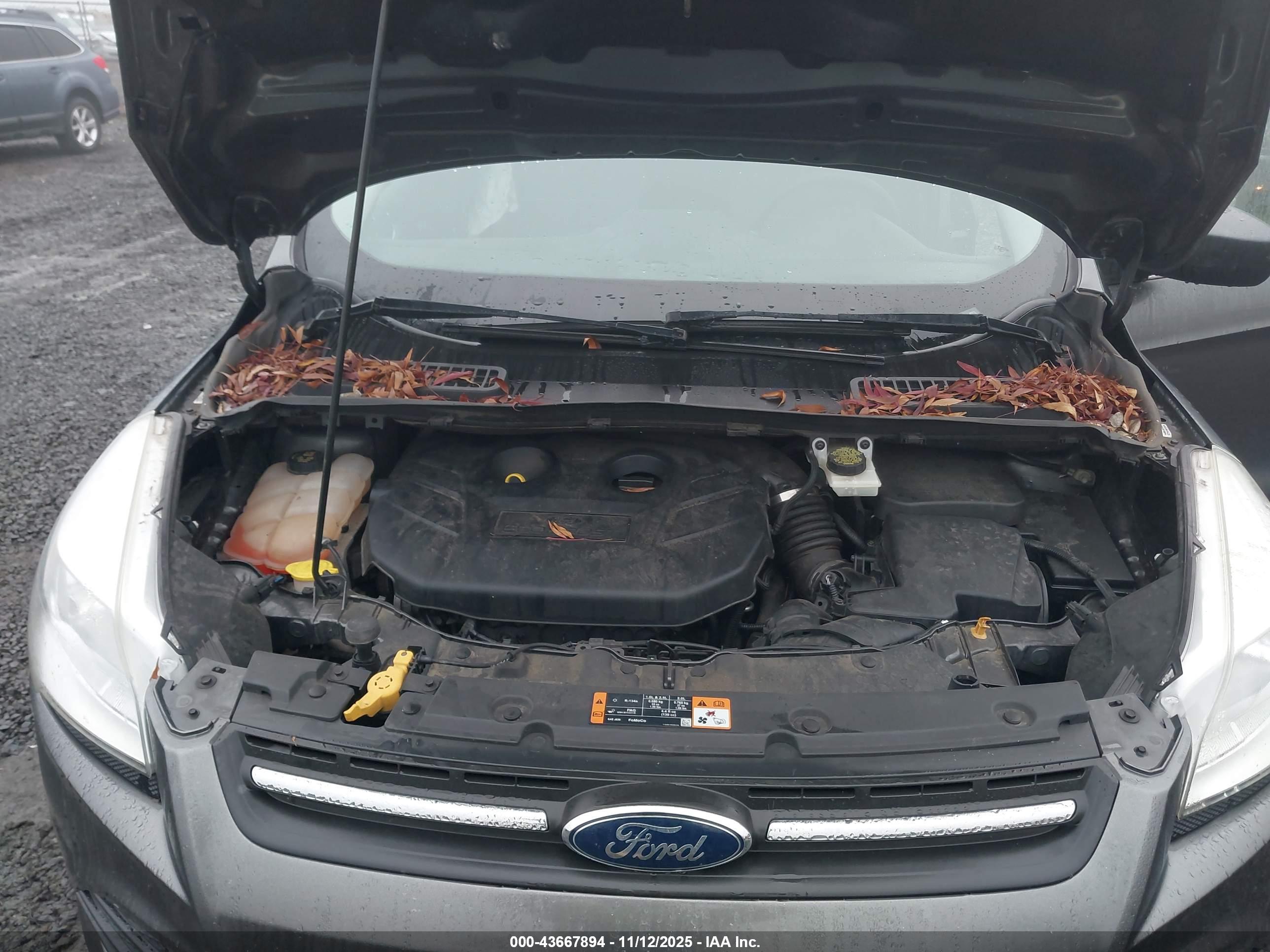 FORD ESCAPE image 10