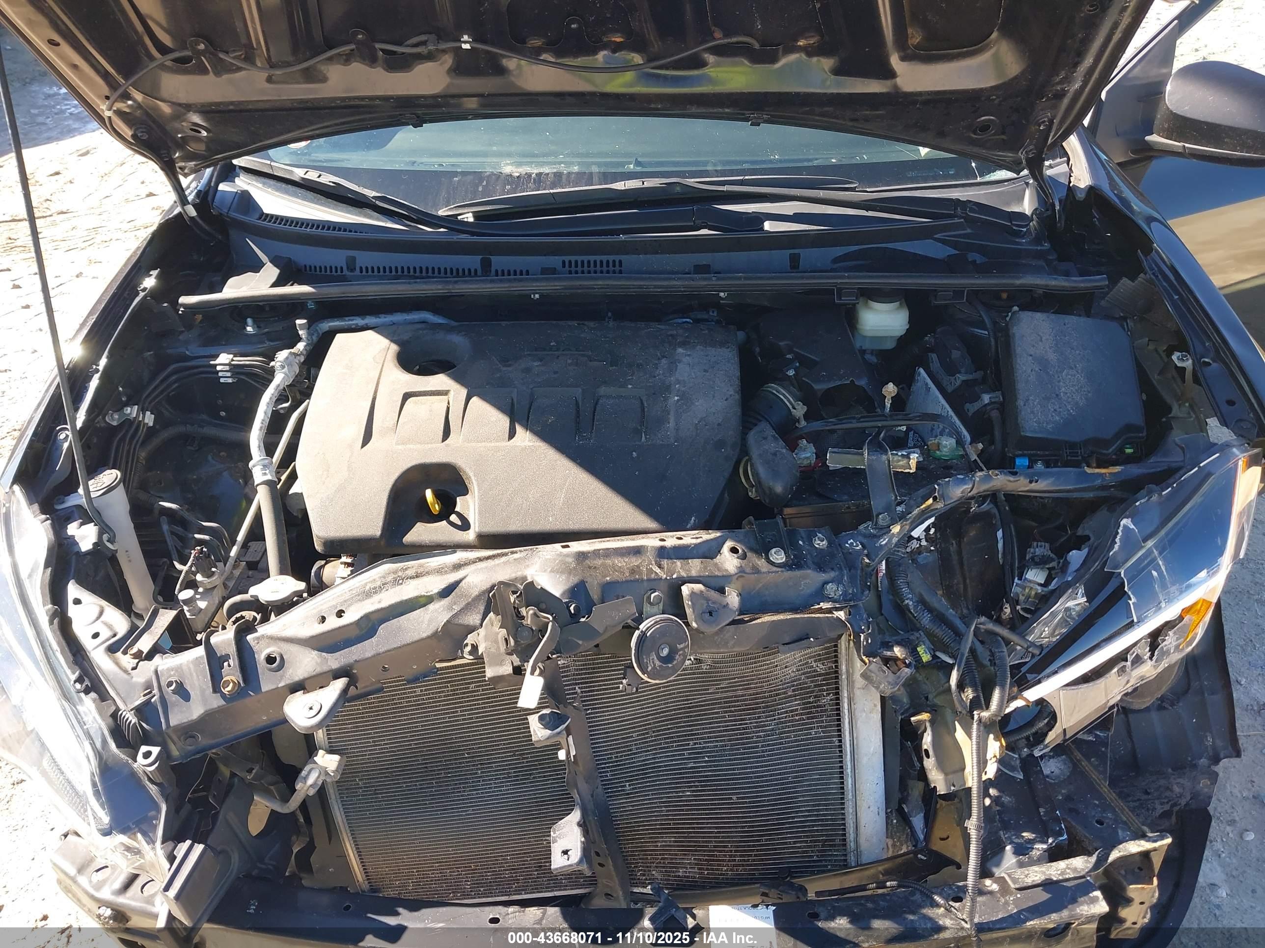 TOYOTA COROLLA image 10