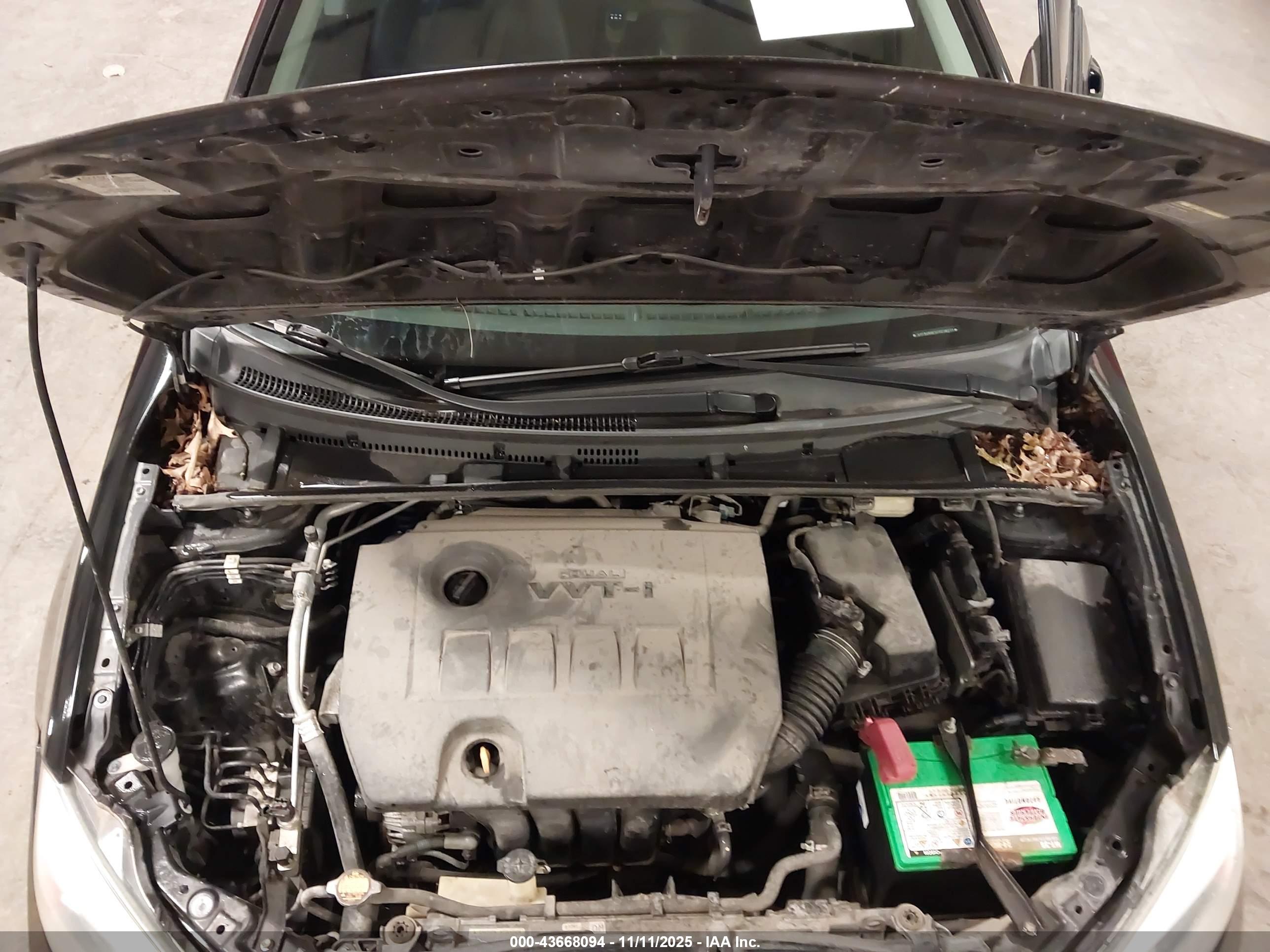 TOYOTA COROLLA image 10