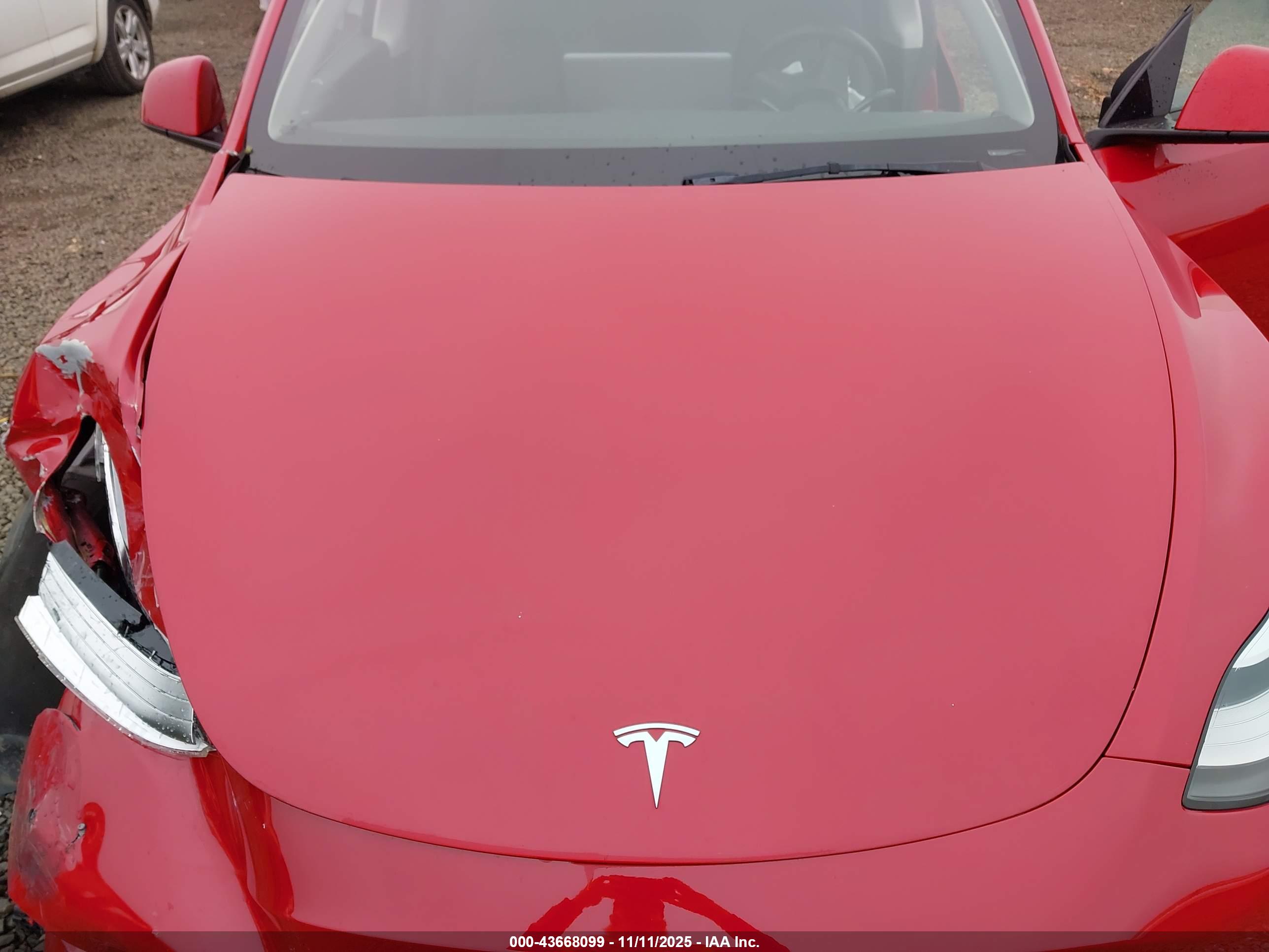 TESLA MODEL image 10
