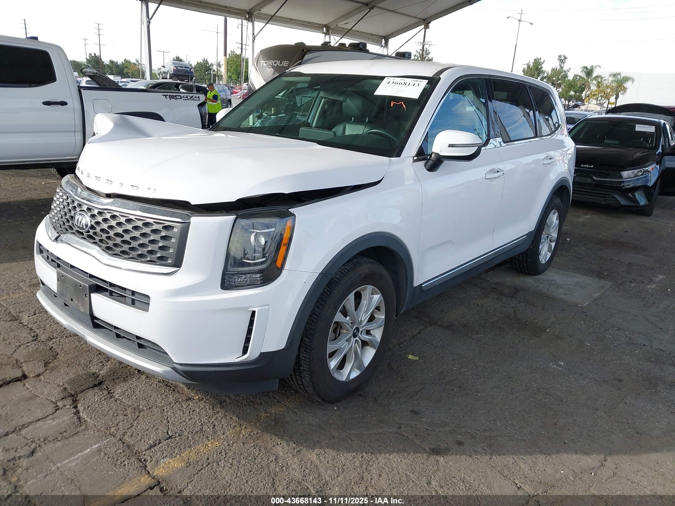 KIA TELLURIDE image 2