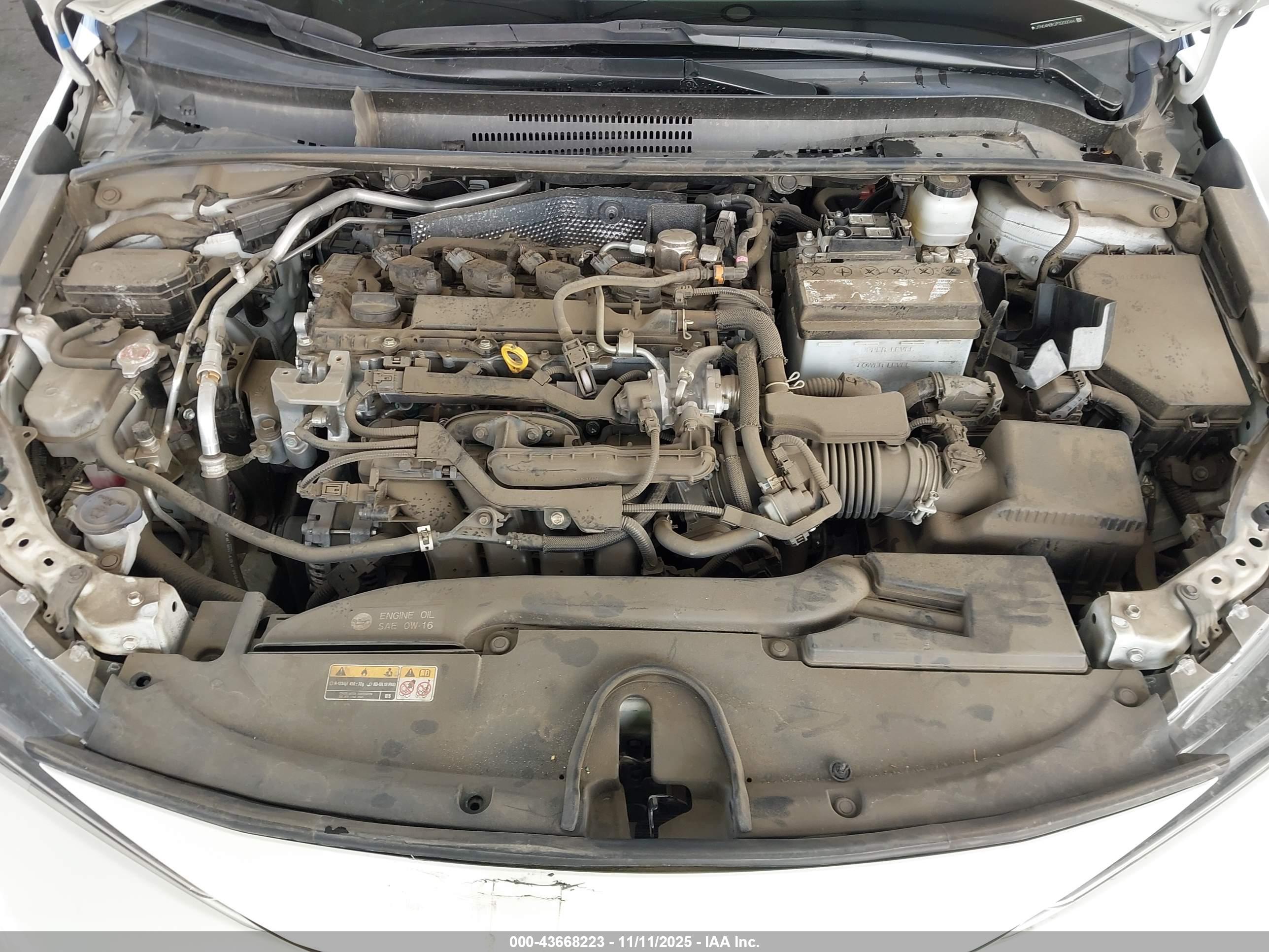 TOYOTA COROLLA image 10