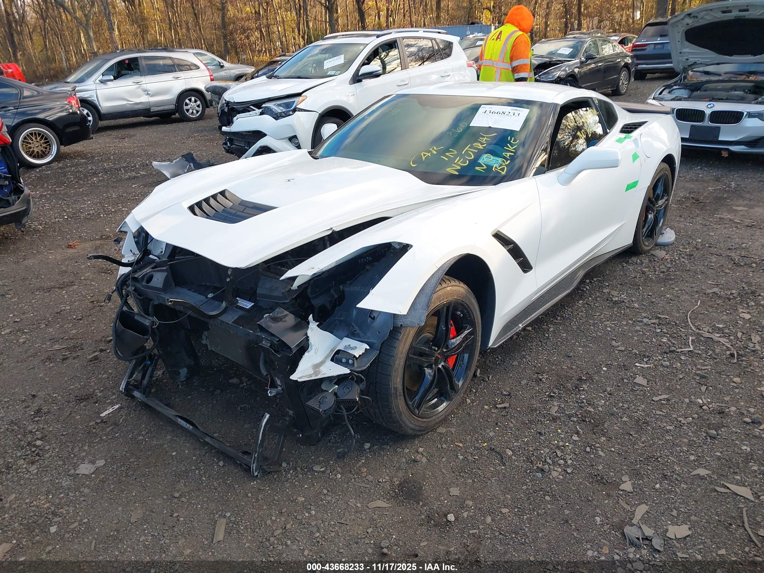 CHEVROLET CORVETTE image 6