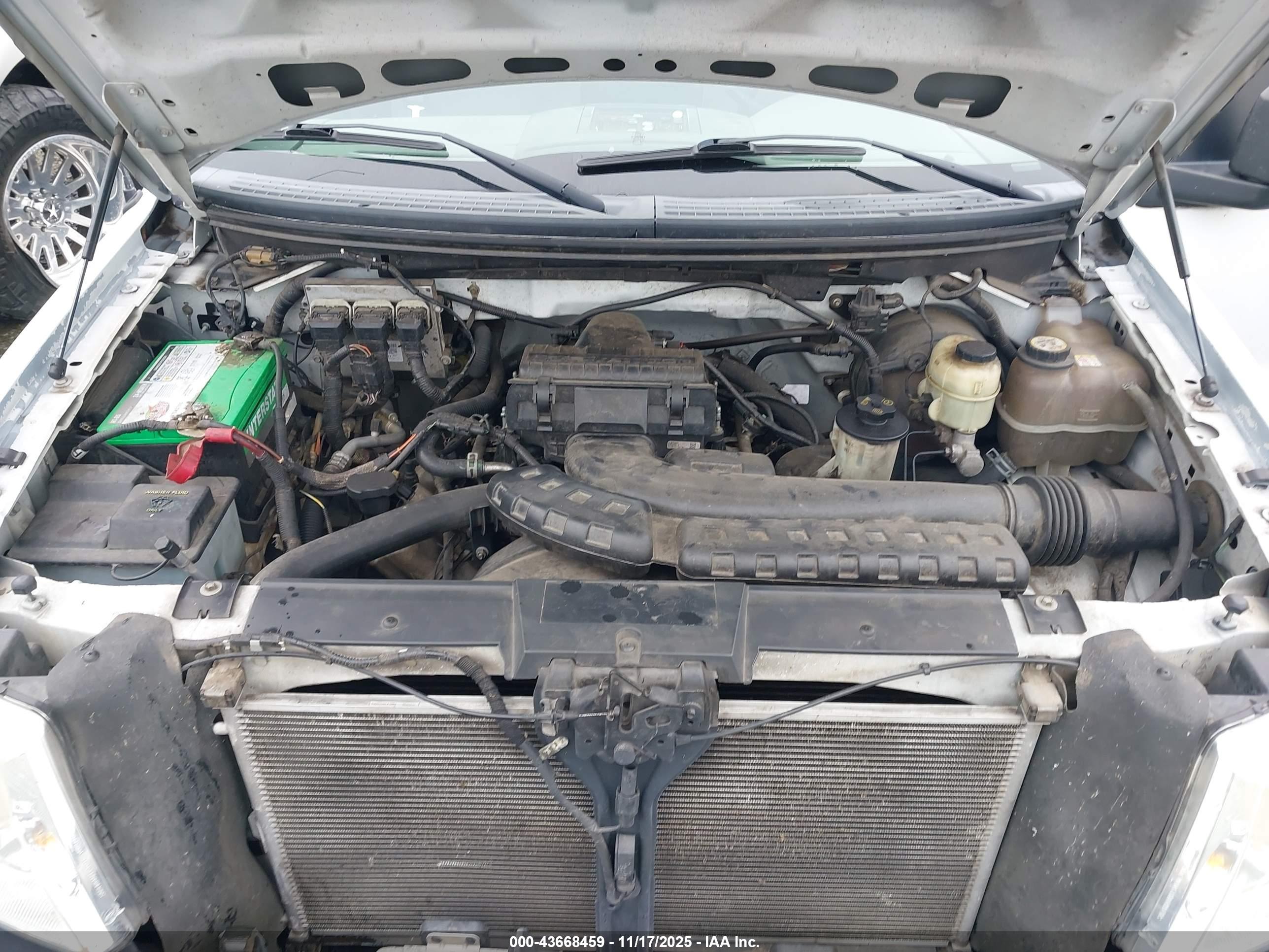 FORD F-150 image 10