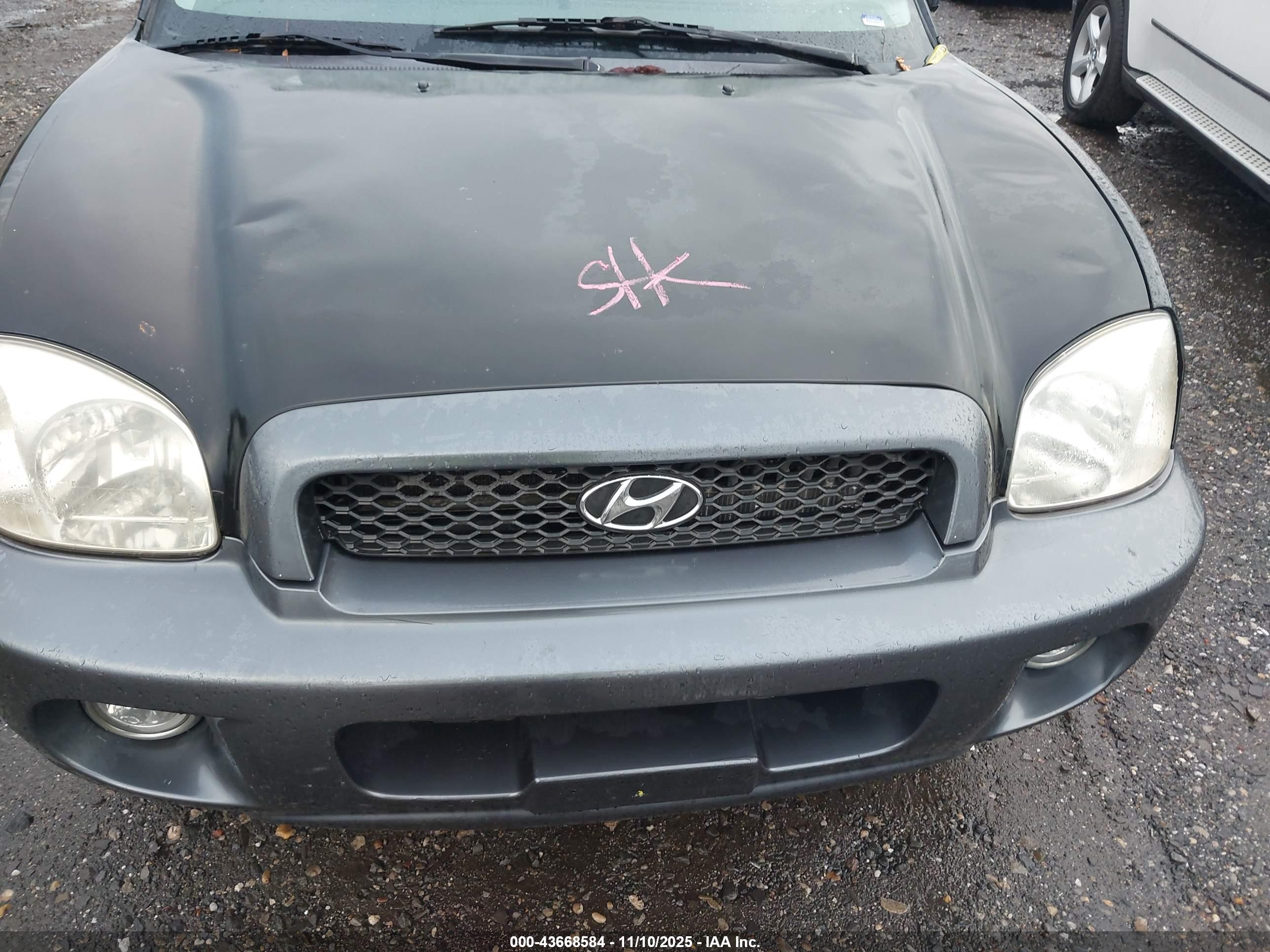HYUNDAI SANTA image 10