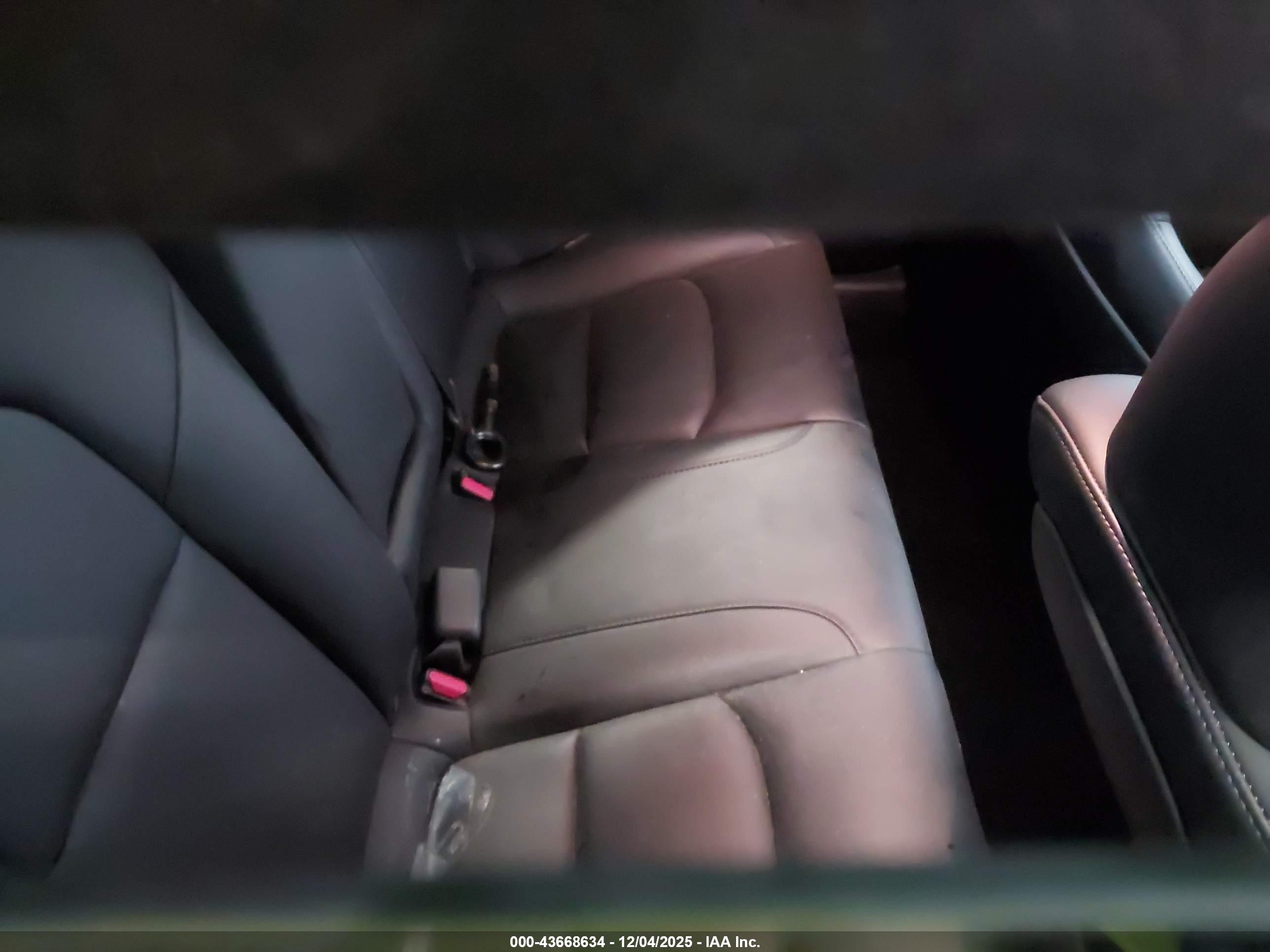 TESLA MODEL image 8