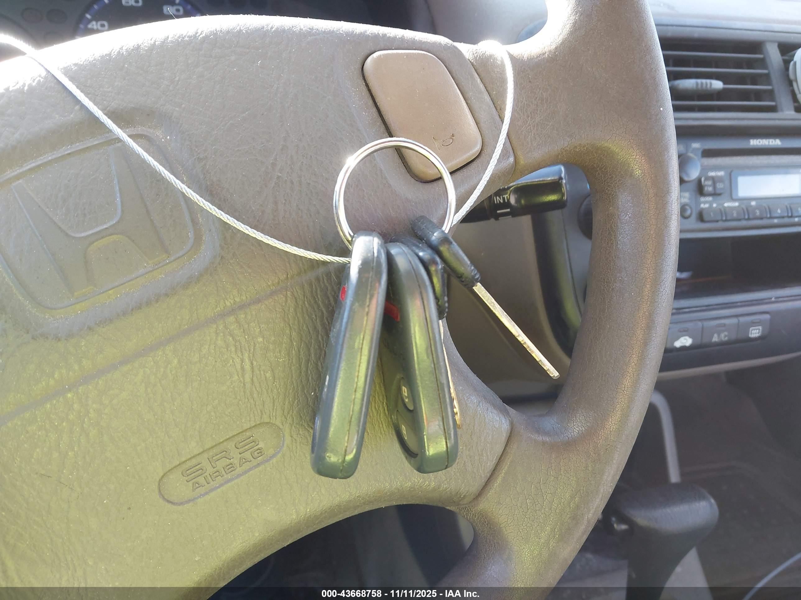 HONDA CIVIC image 11