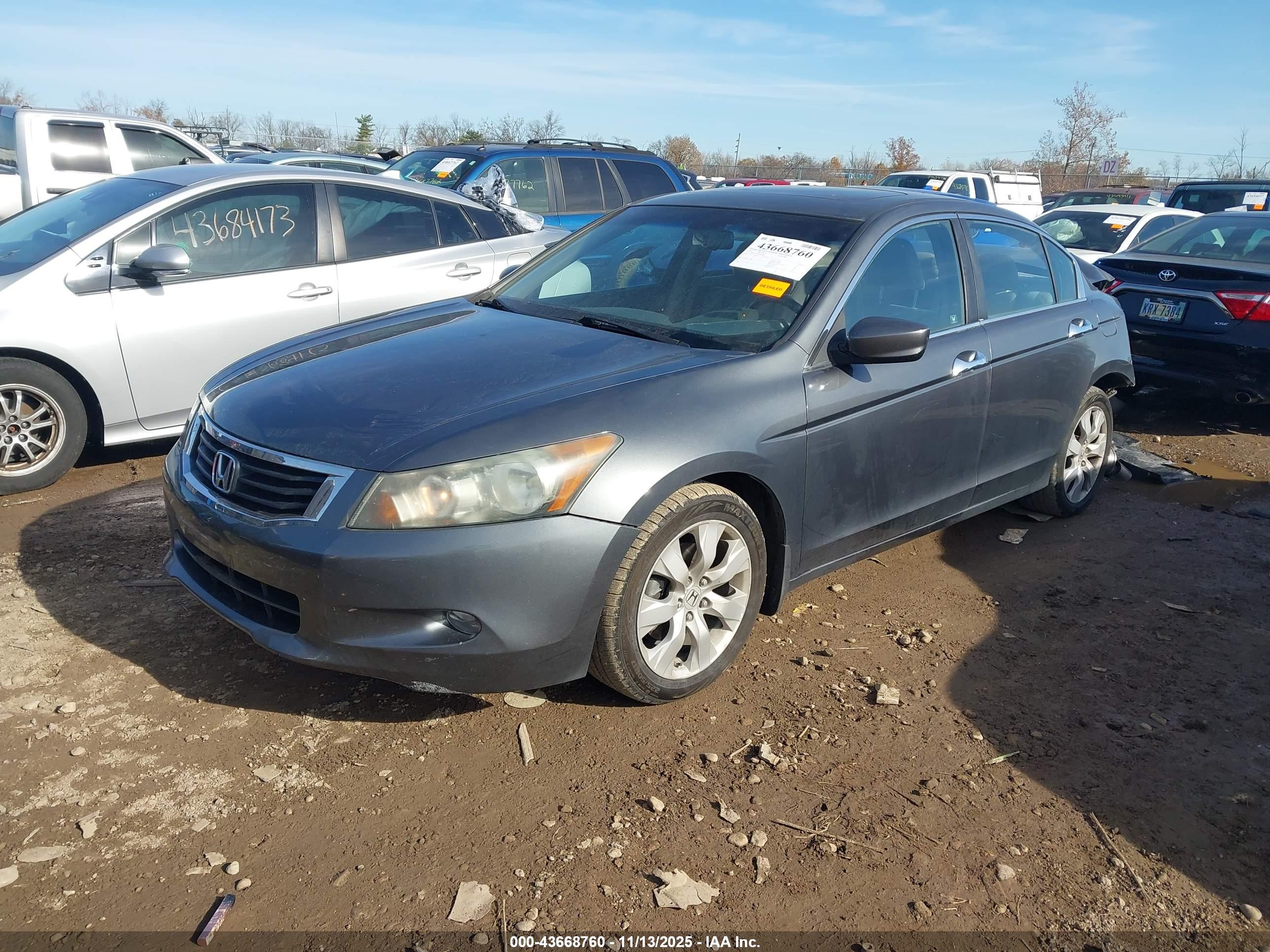 HONDA ACCORD image 2