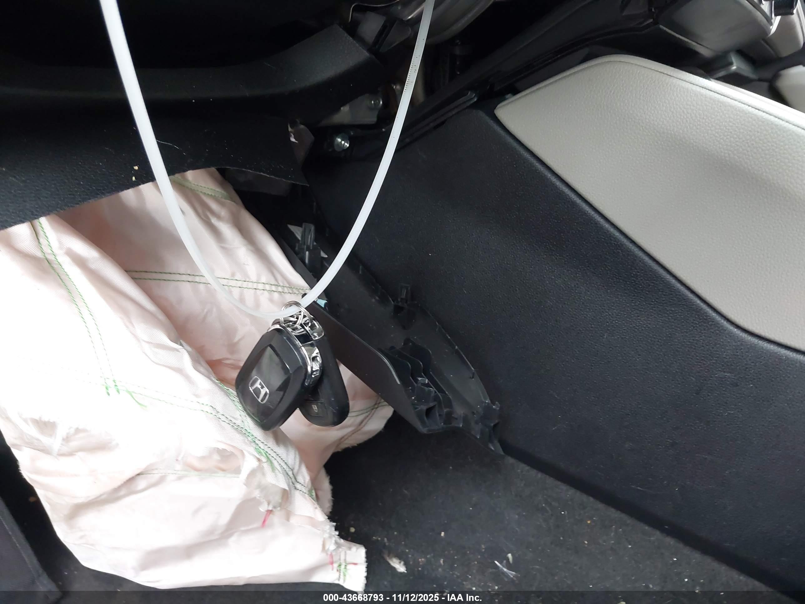 HONDA ACCORD image 11