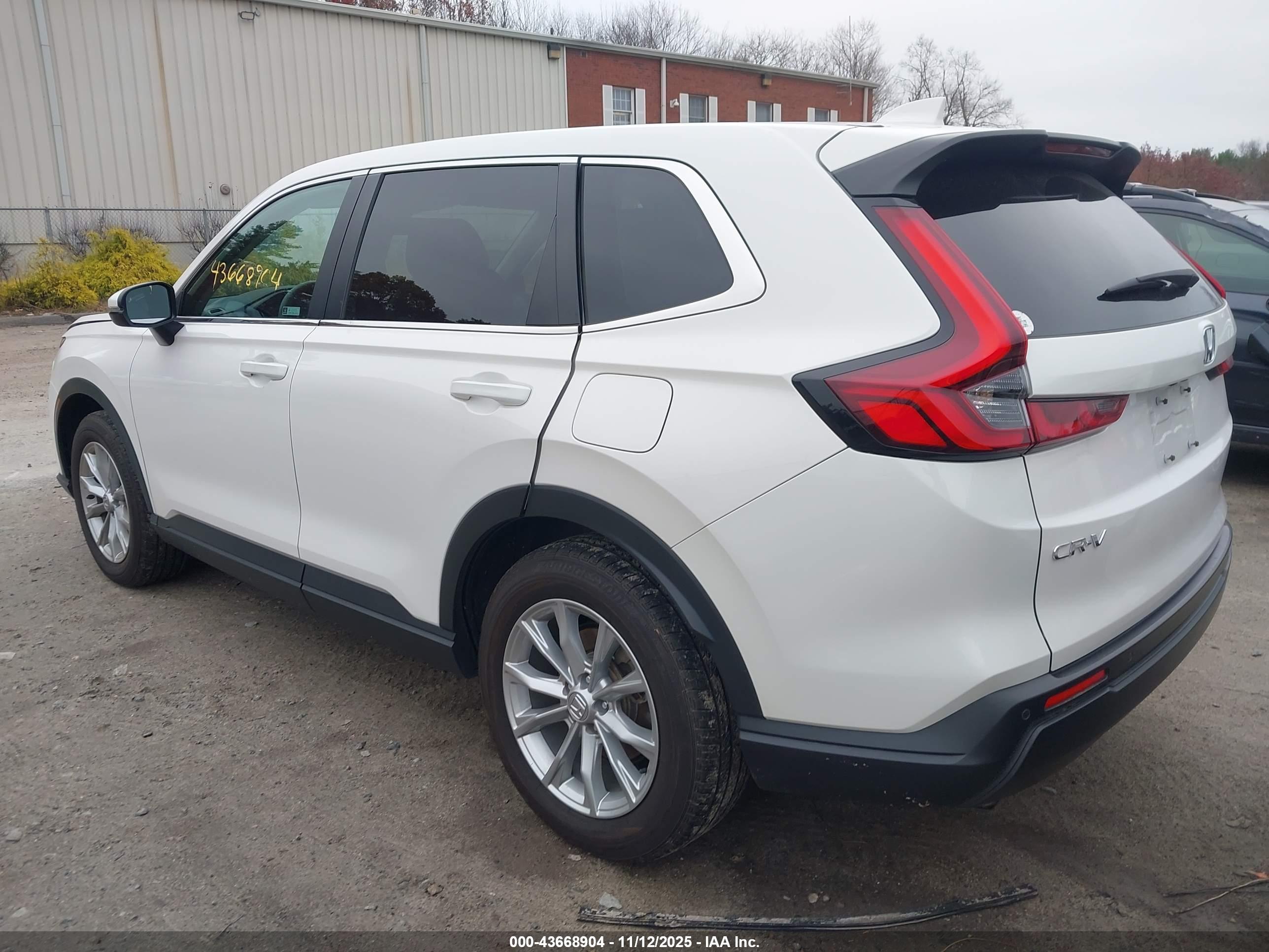 HONDA CR-V image 3