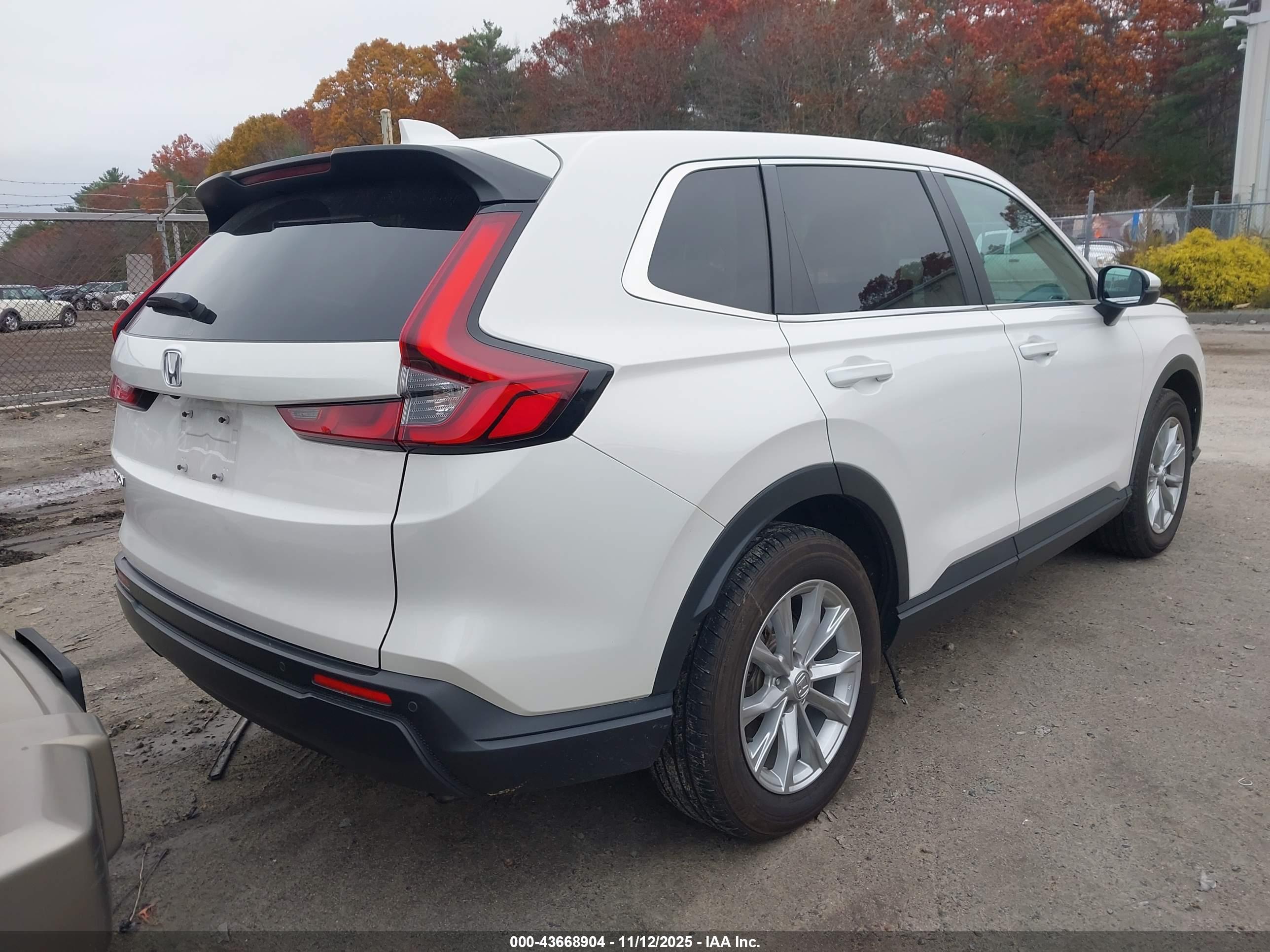 HONDA CR-V image 4