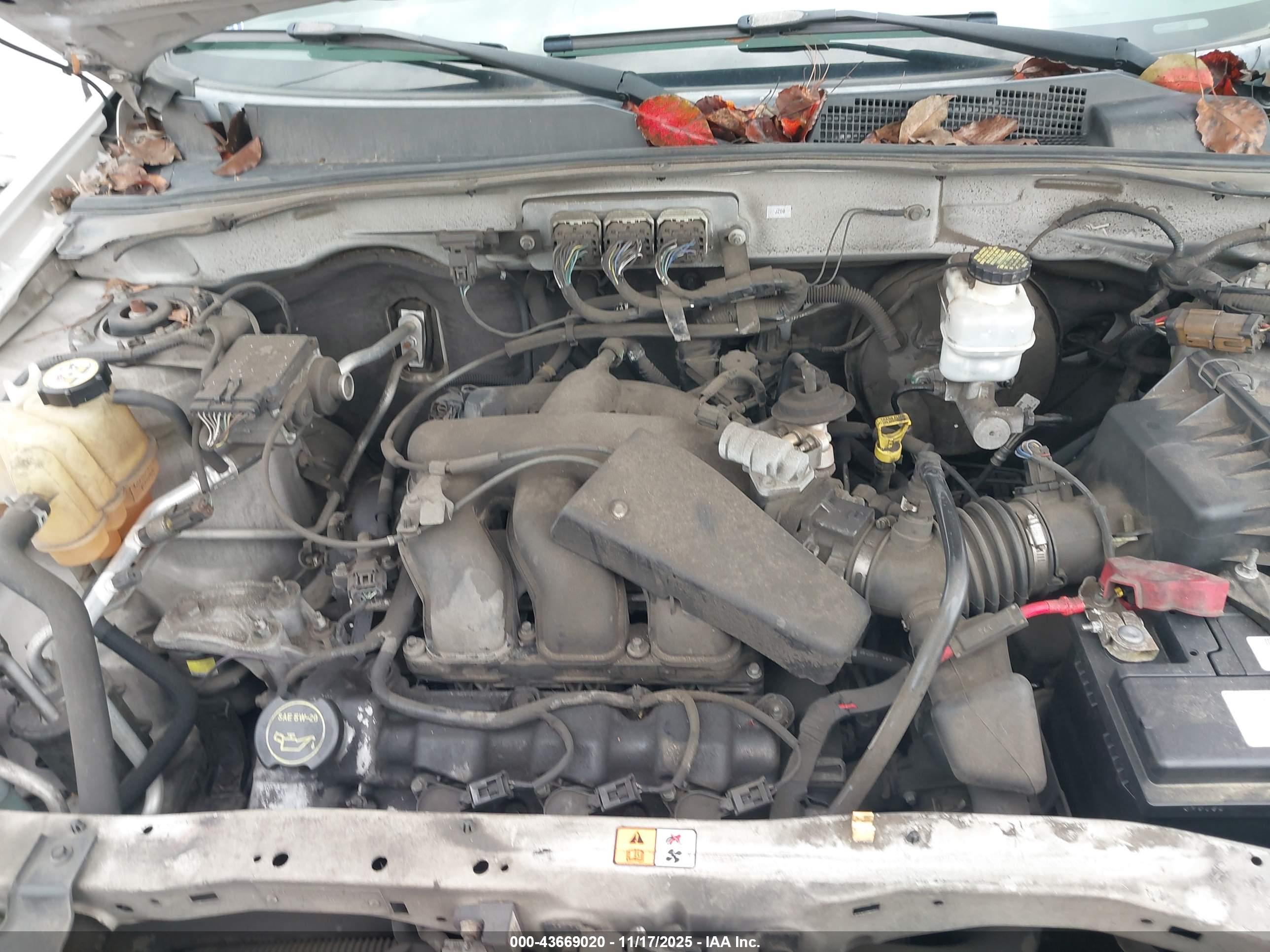 FORD ESCAPE image 10
