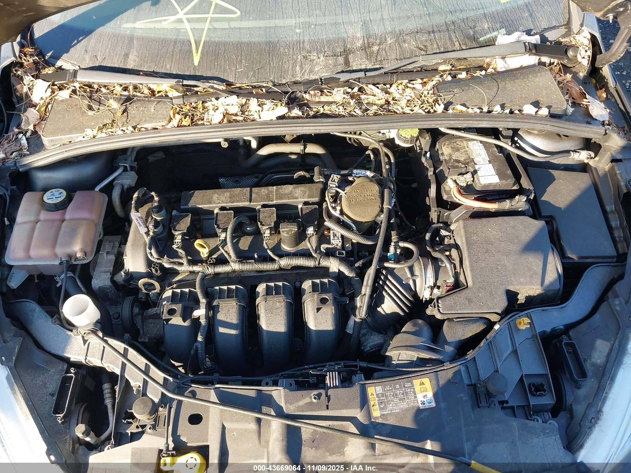 FORD FOCUS image 10