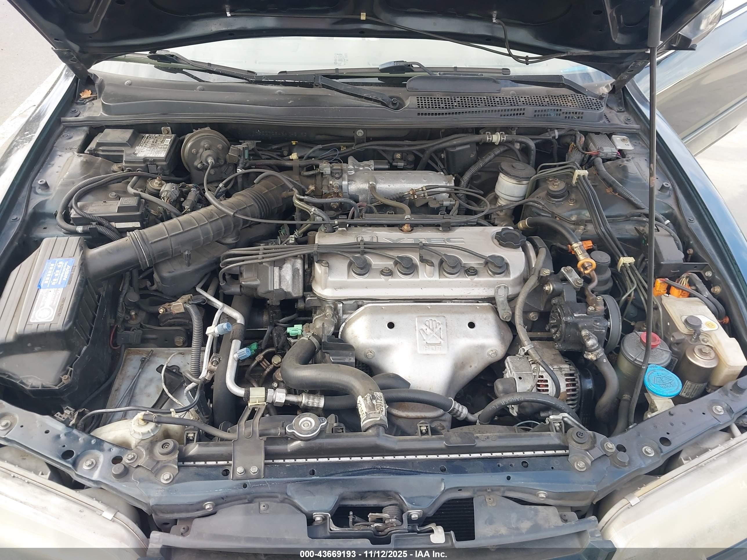 HONDA ACCORD image 10