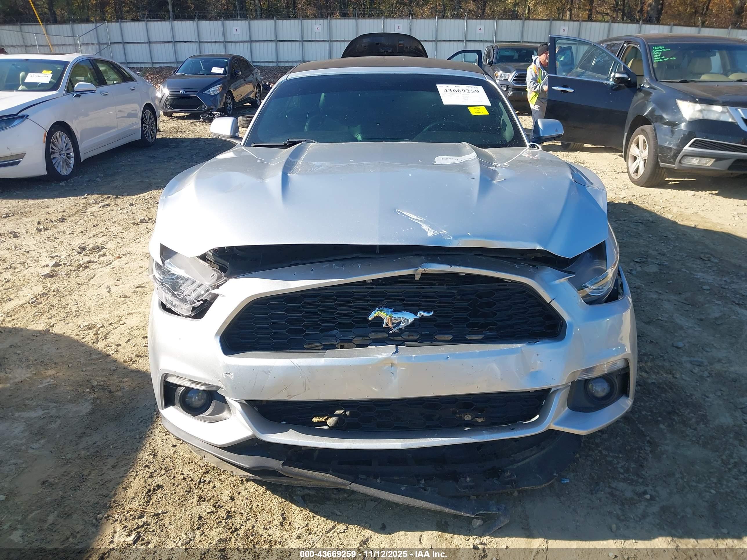 FORD MUSTANG image 6