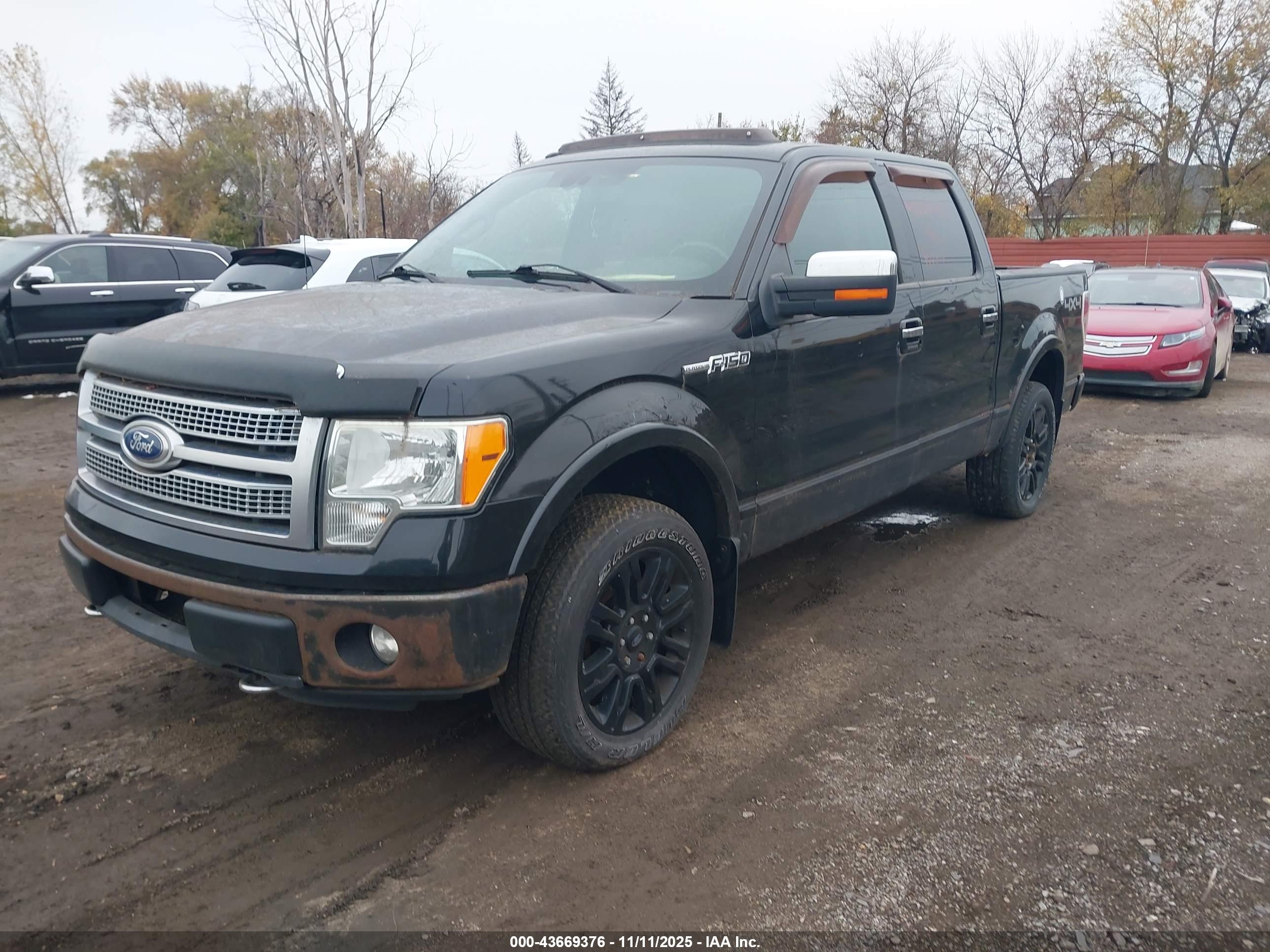 FORD F-150 image 2