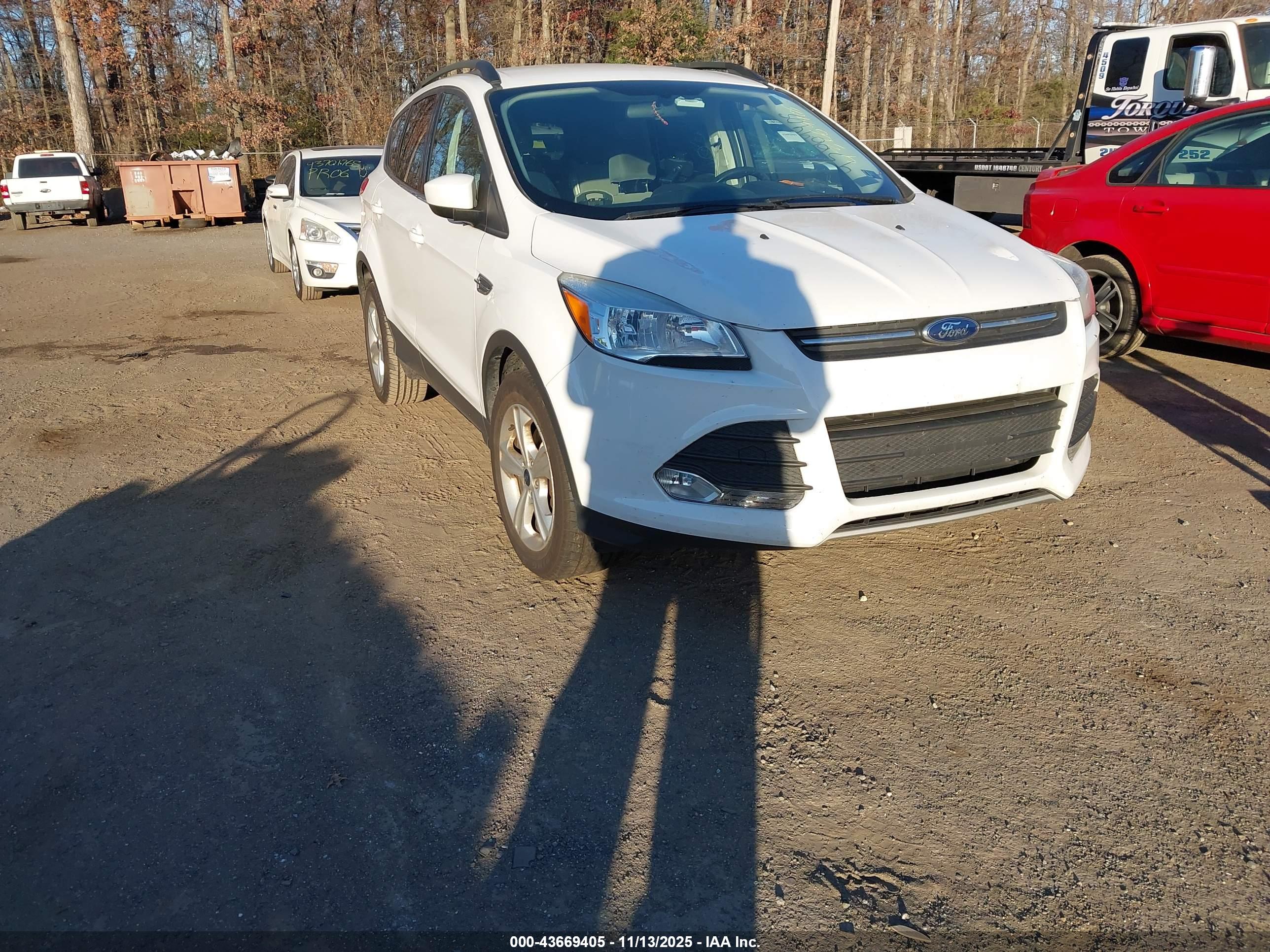 FORD ESCAPE image 6