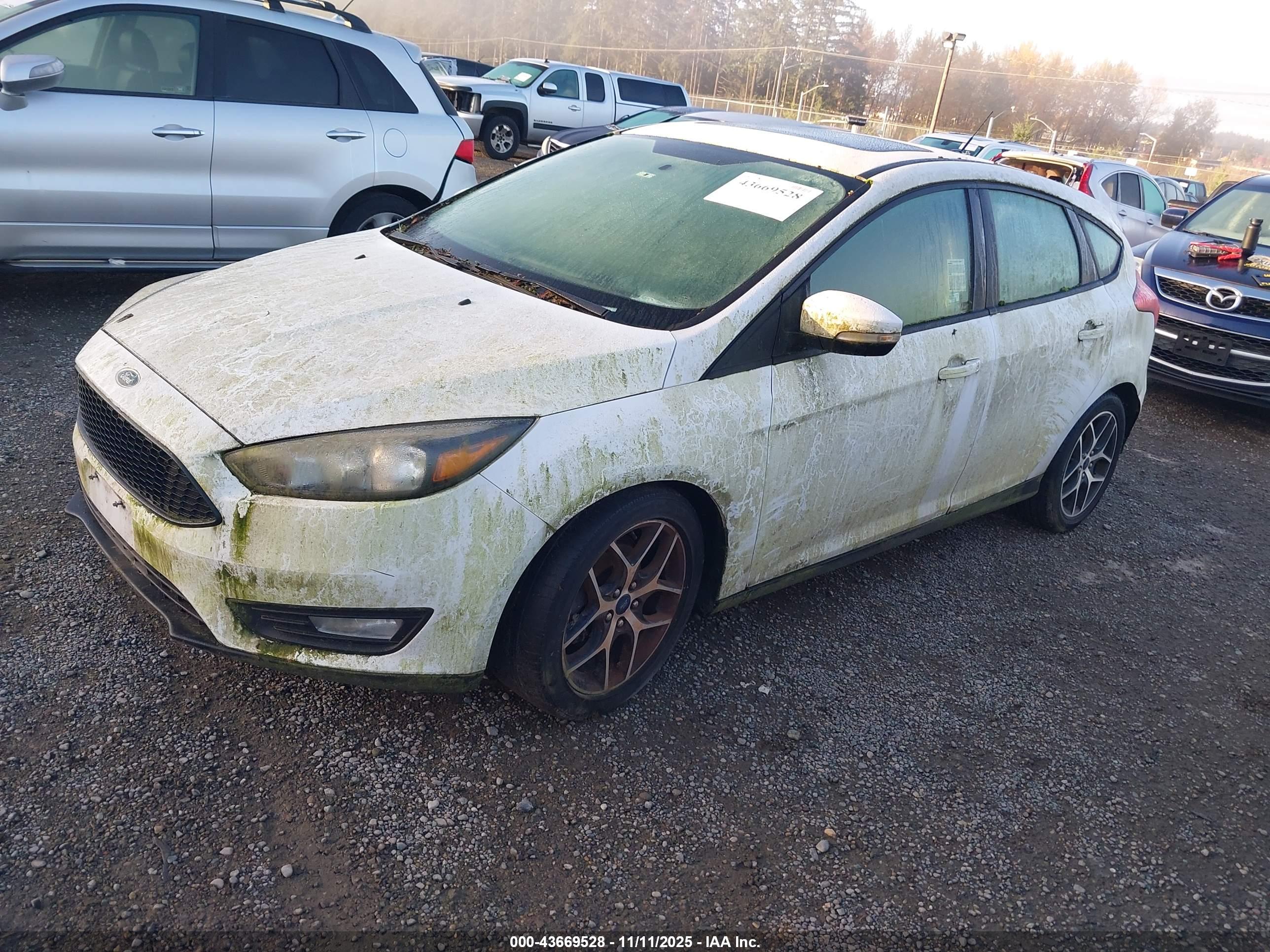 FORD FOCUS image 2