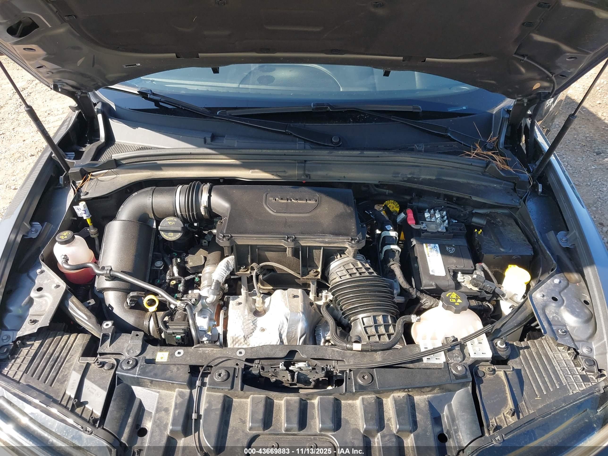 DODGE HORNET image 10