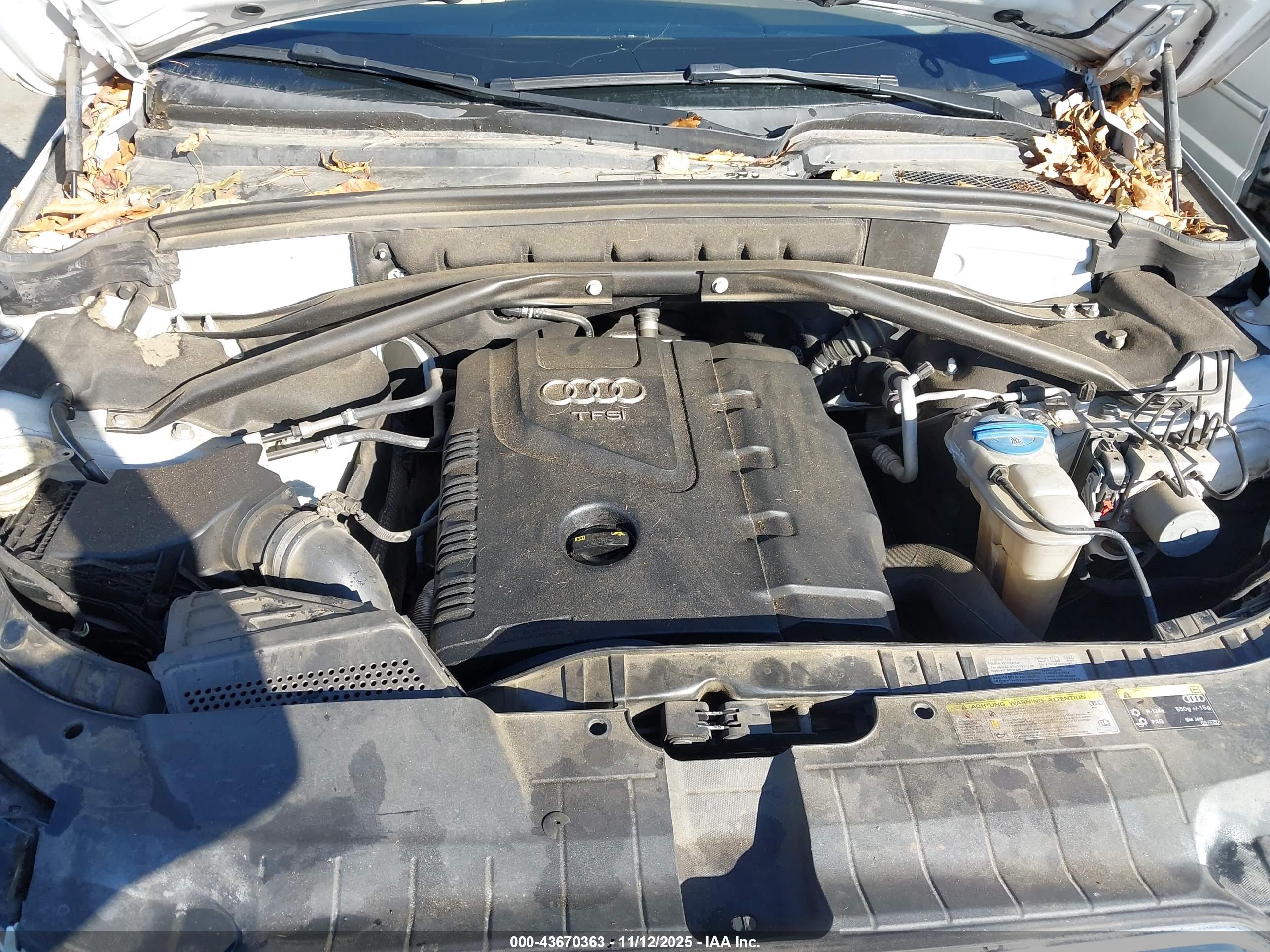 AUDI Q5 image 10