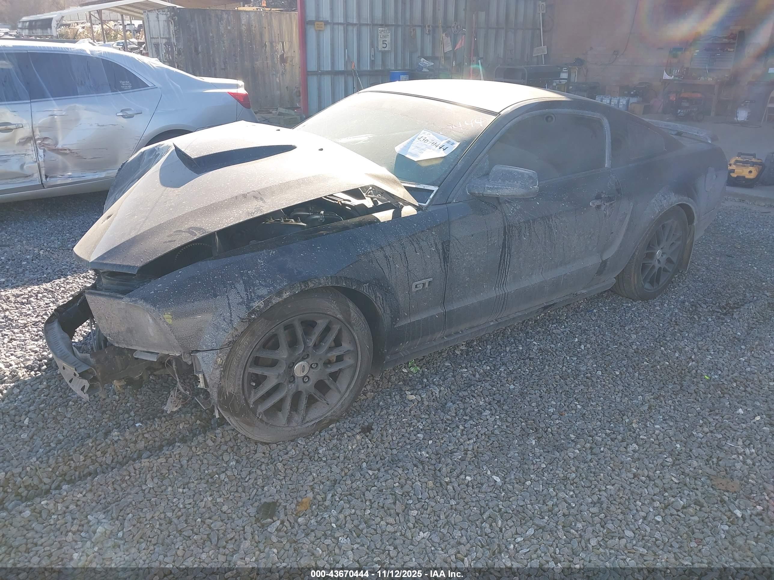 FORD MUSTANG image 2