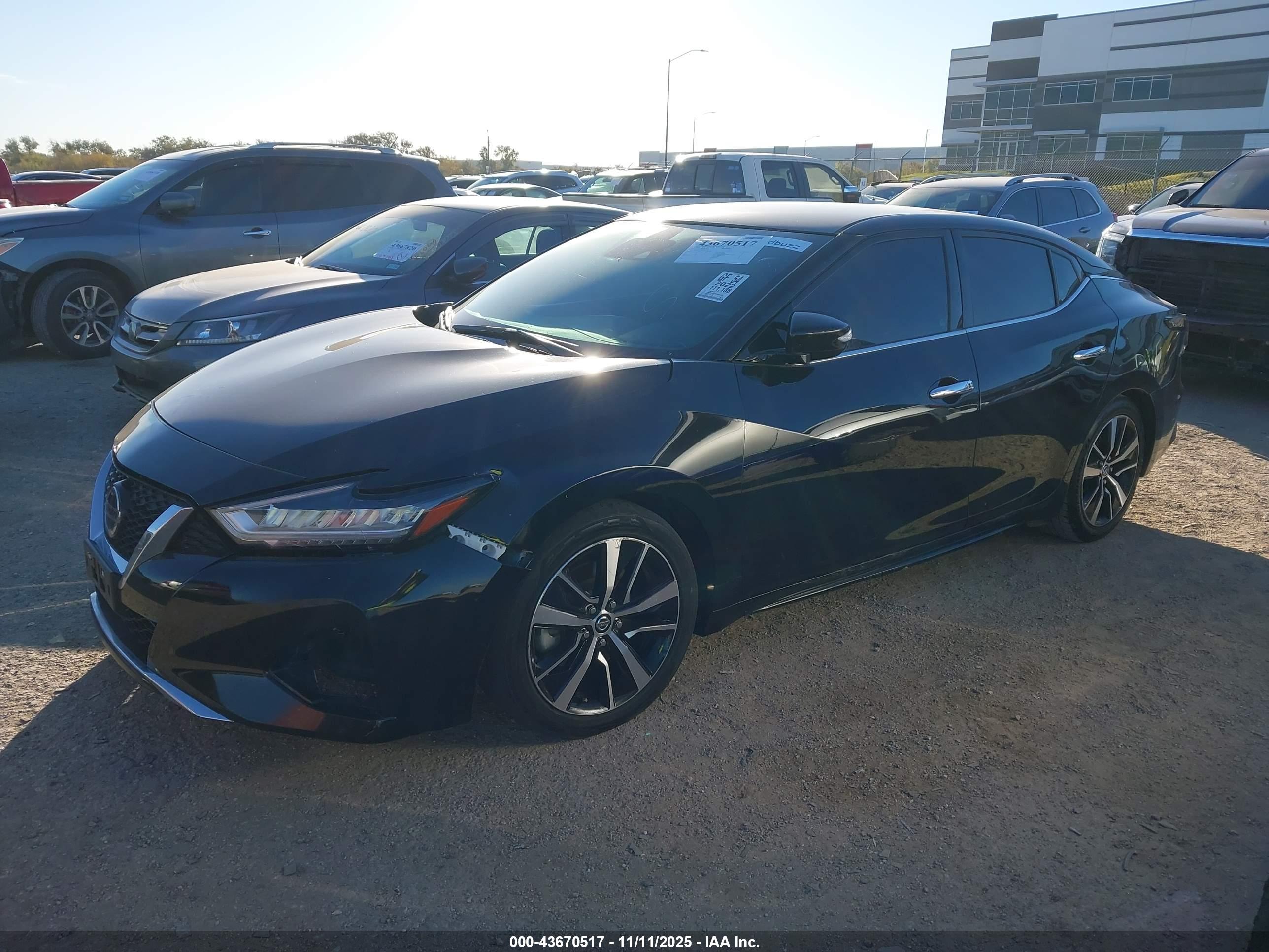 NISSAN MAXIMA image 2