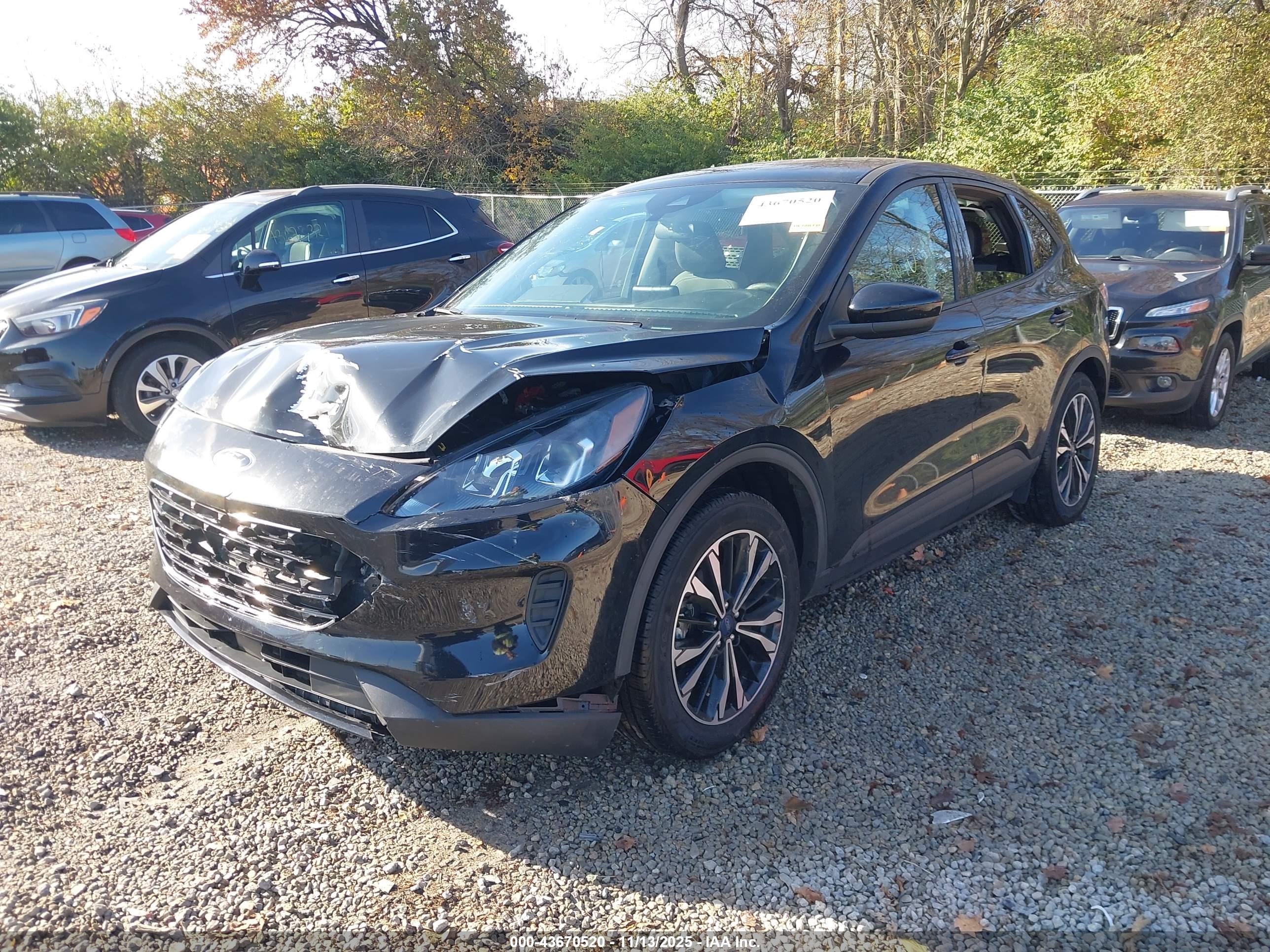 FORD ESCAPE image 2