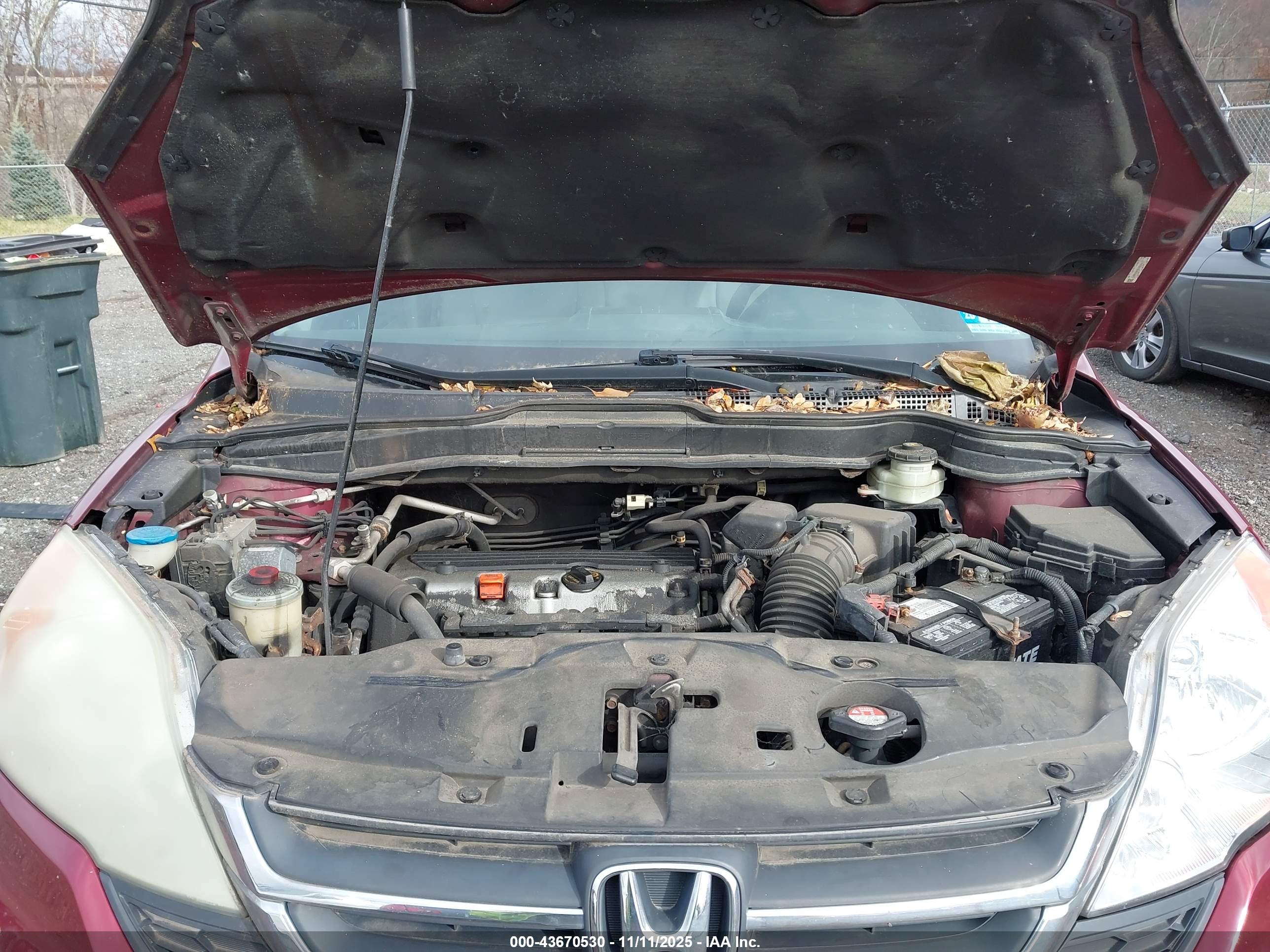 HONDA CR-V image 10