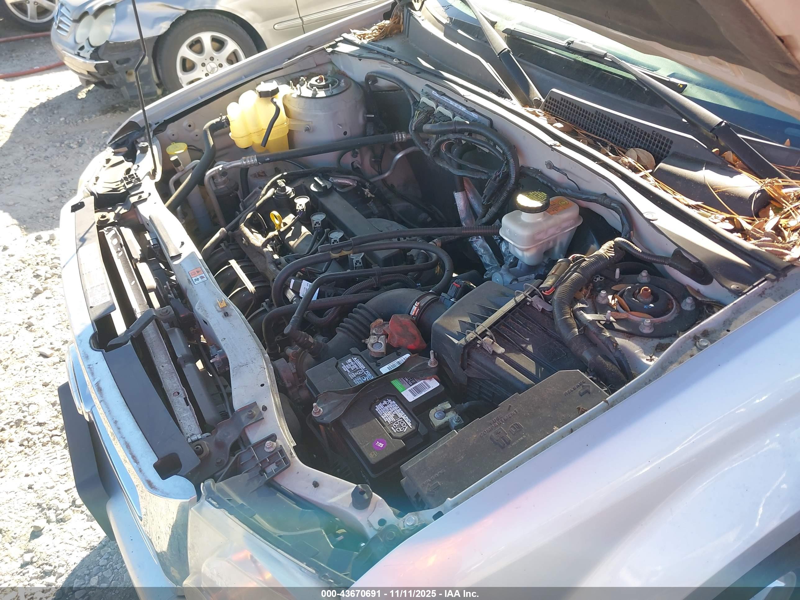 FORD ESCAPE image 10