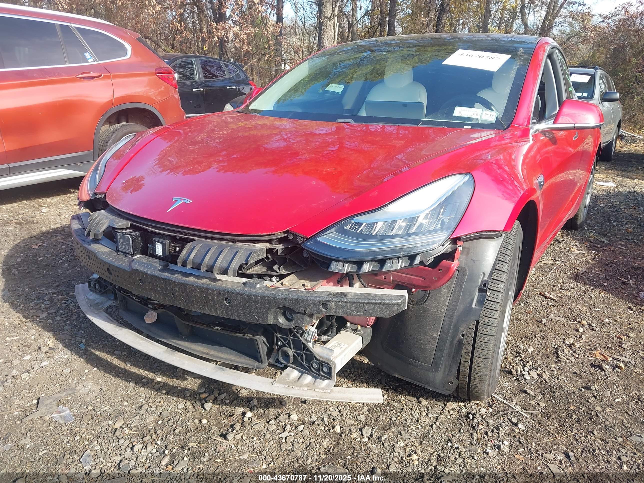 TESLA MODEL image 6