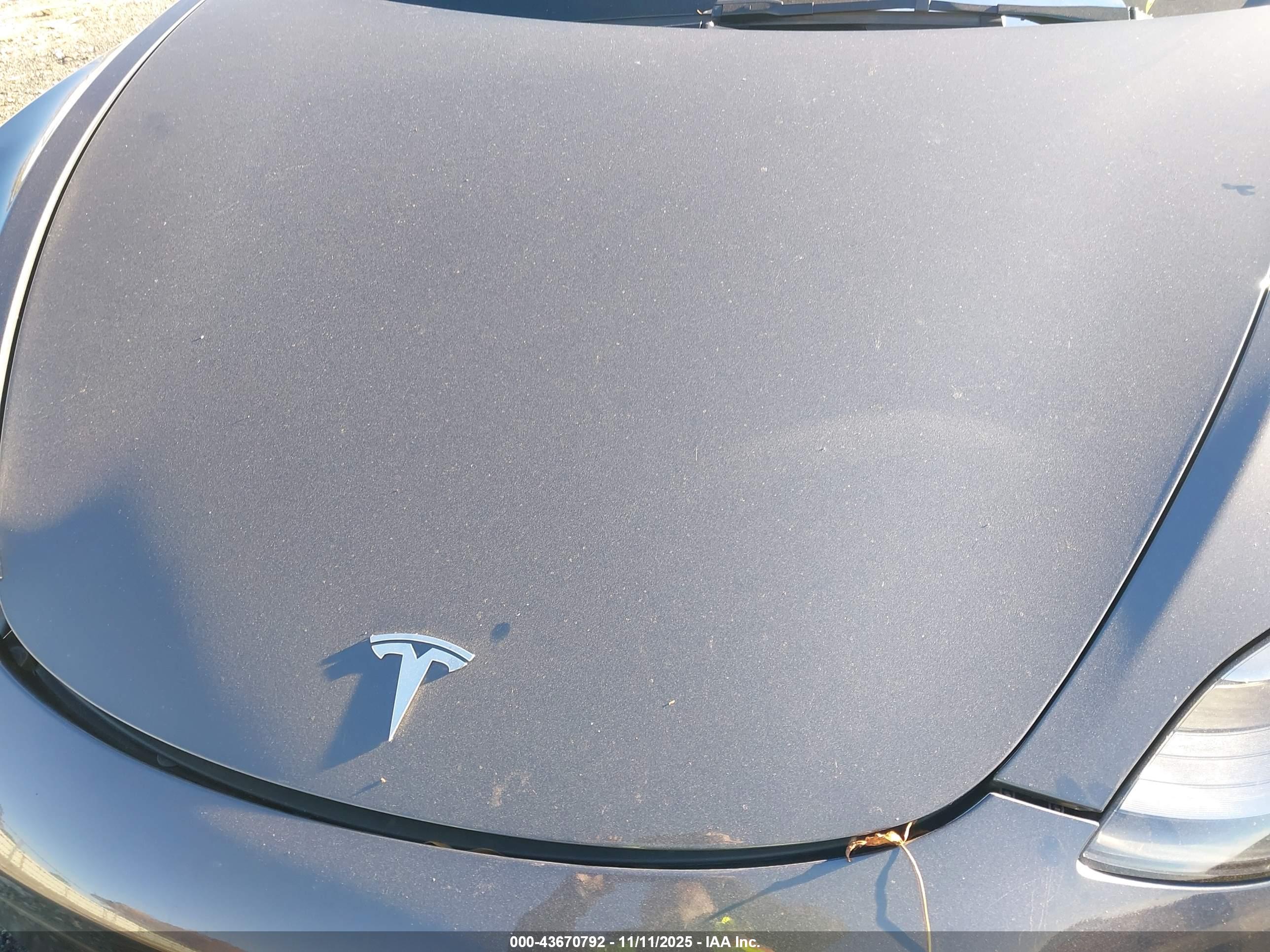 TESLA MODEL image 10