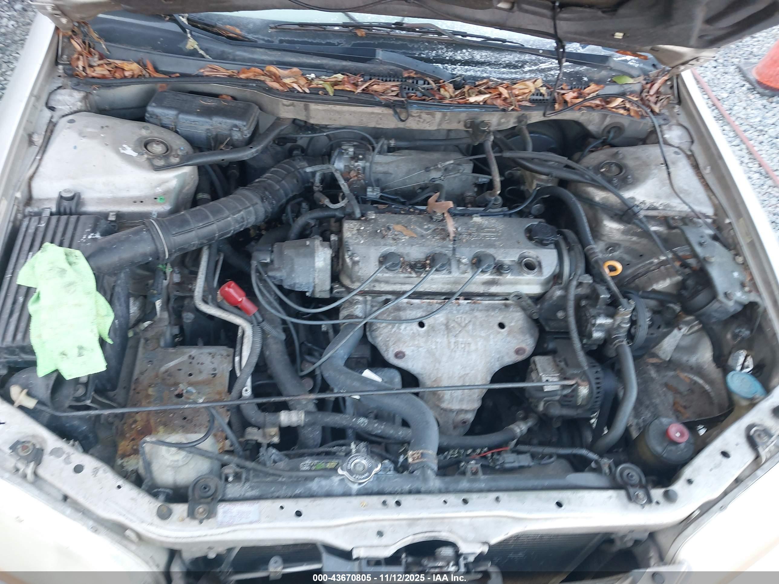 HONDA ACCORD image 10