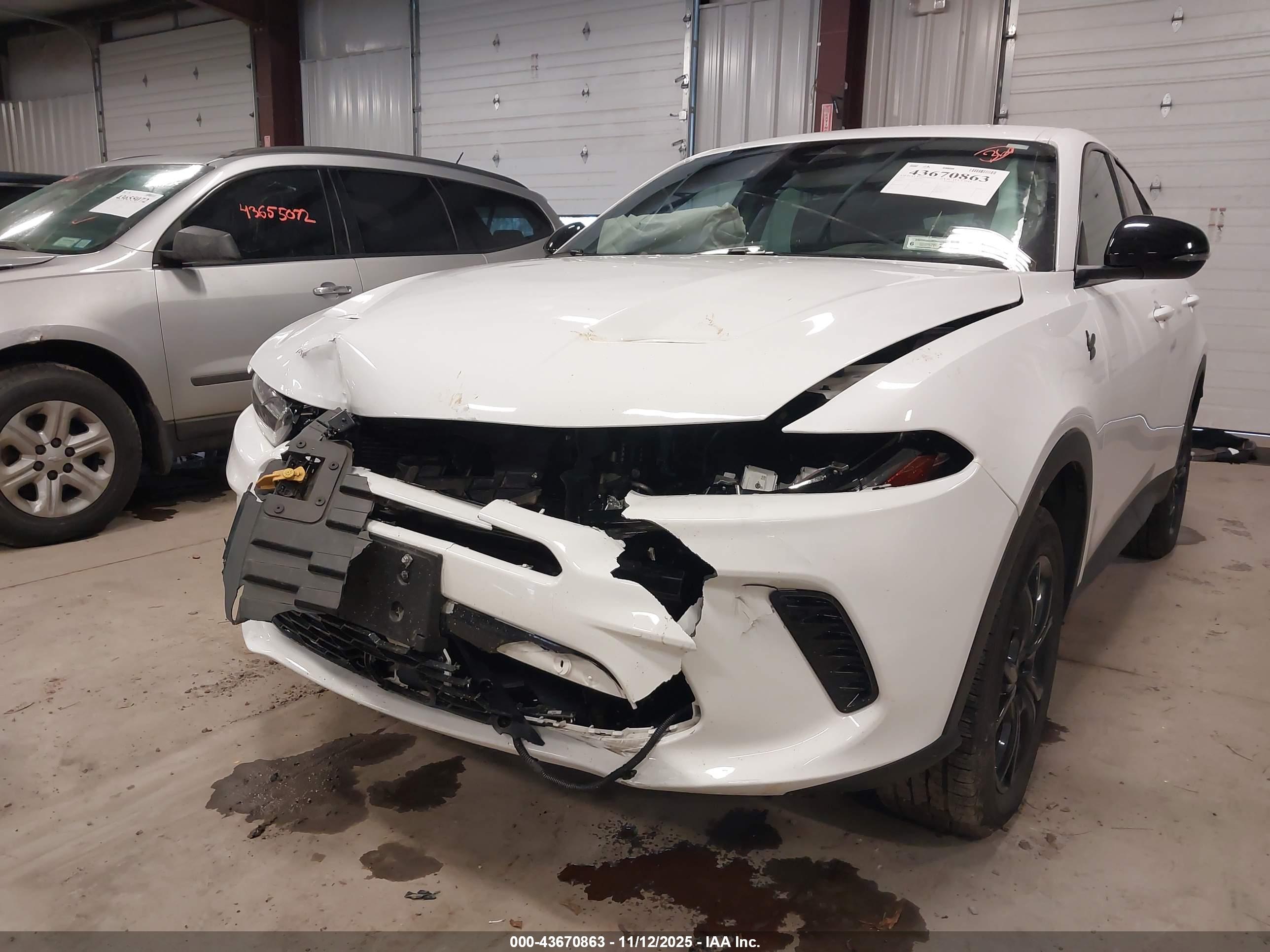 DODGE HORNET image 6
