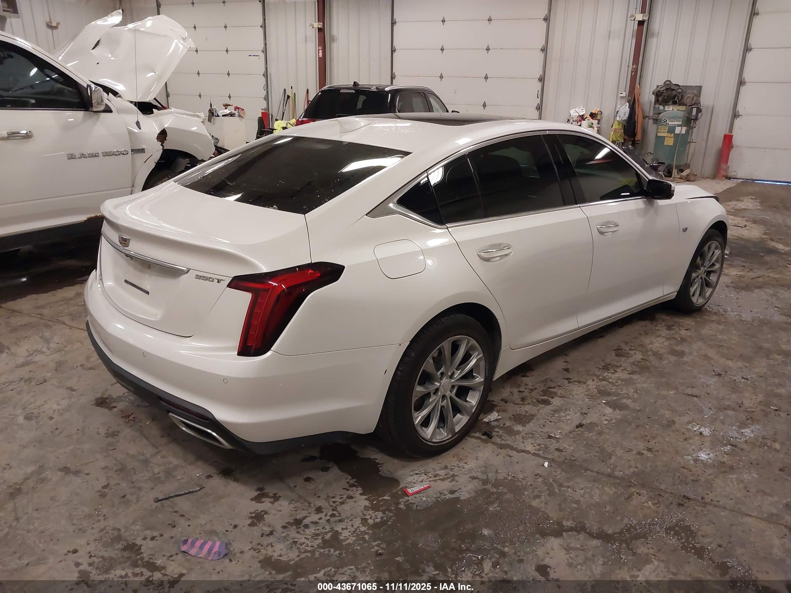 CADILLAC CT5 image 4