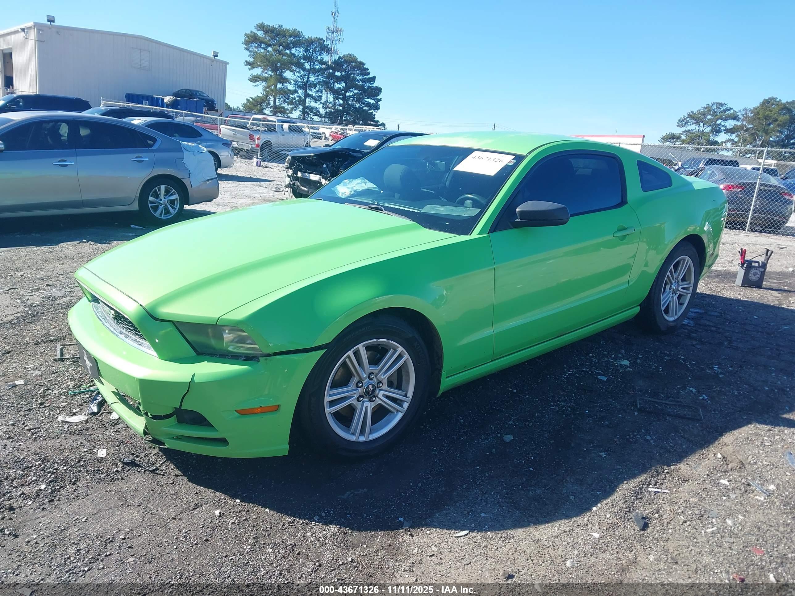 FORD MUSTANG image 2