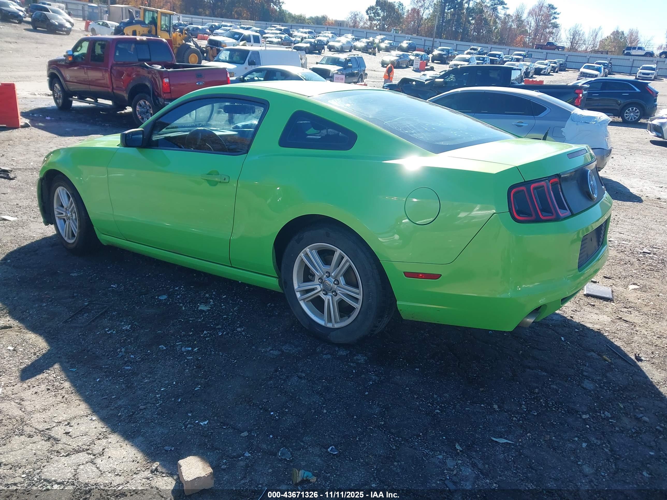 FORD MUSTANG image 3