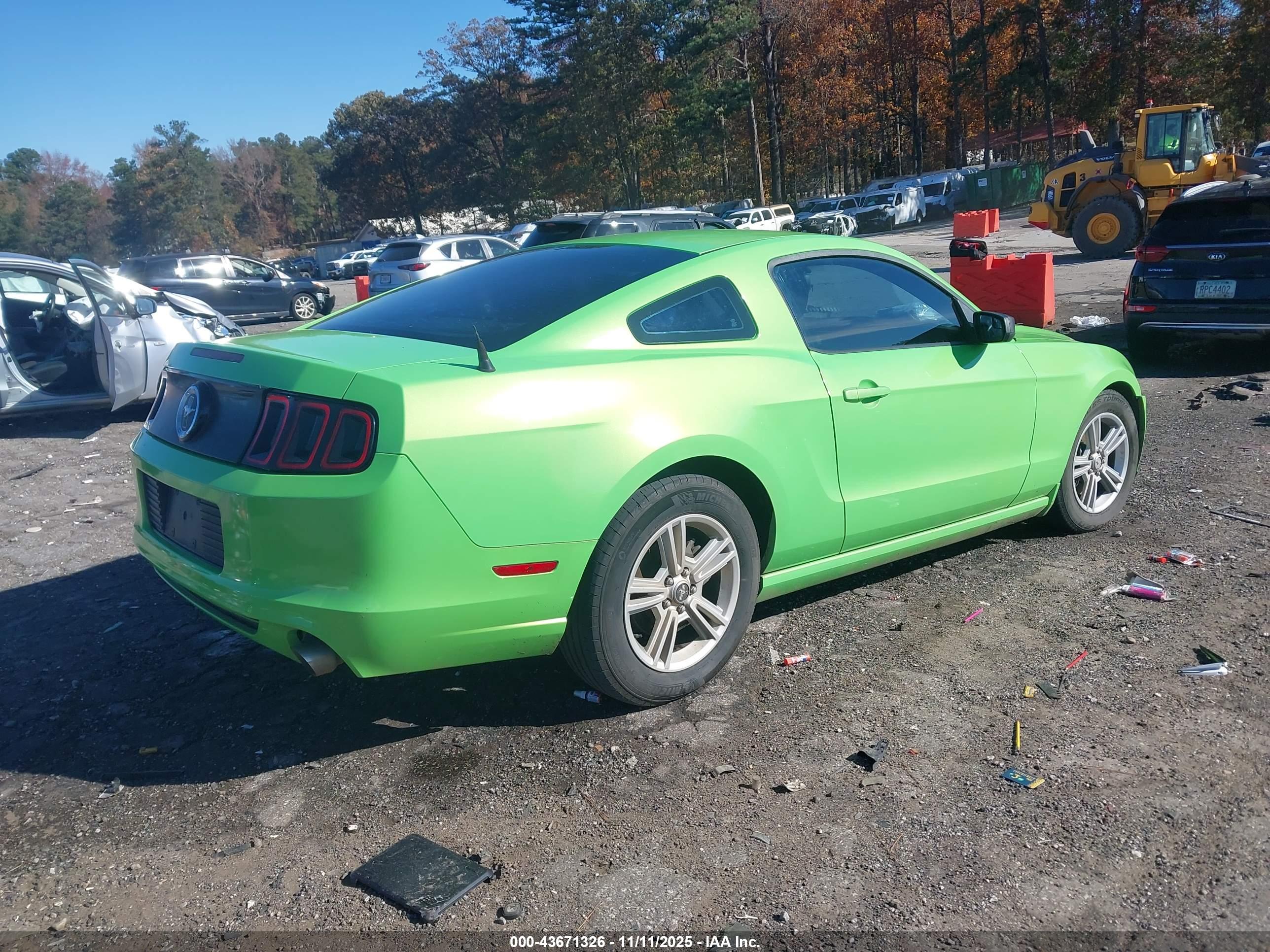 FORD MUSTANG image 4